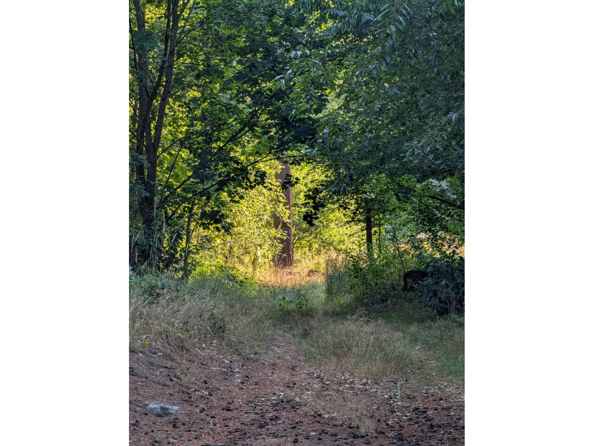 foto17