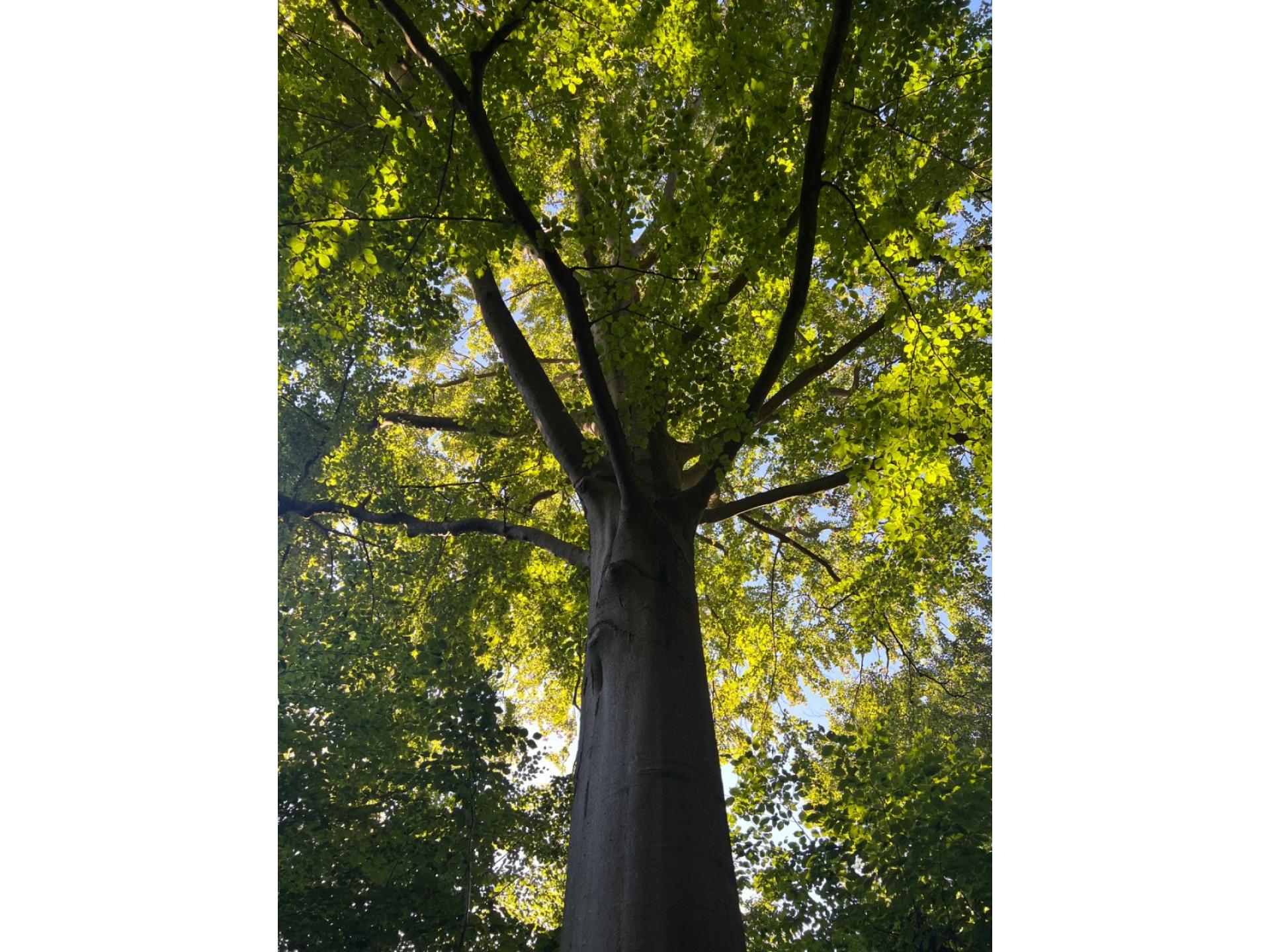 foto20