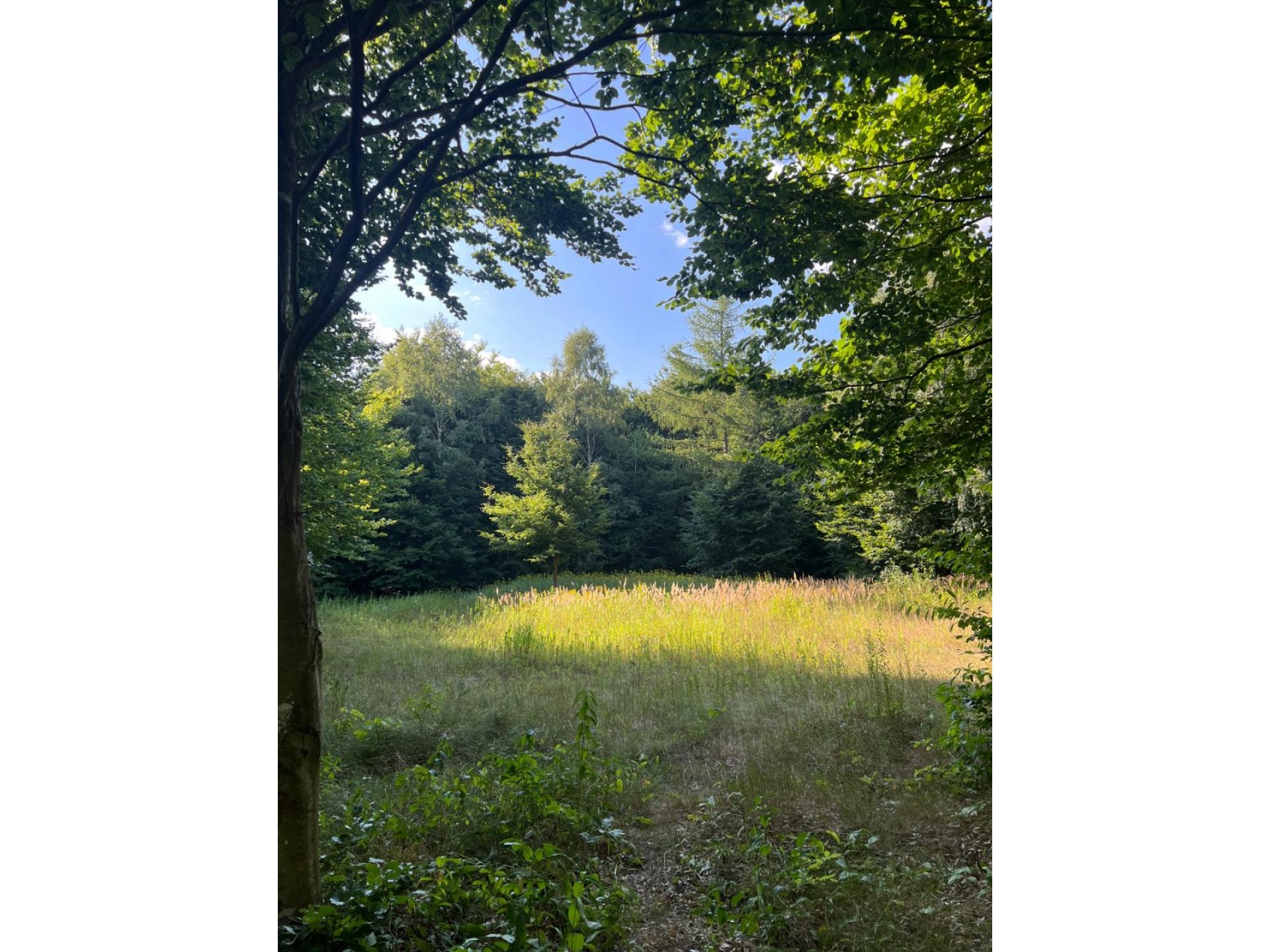 foto24