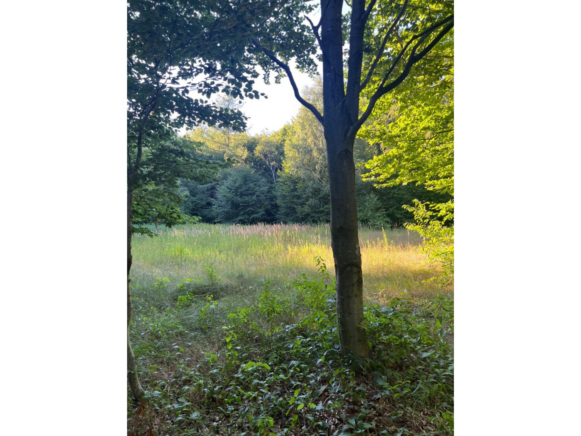 foto26
