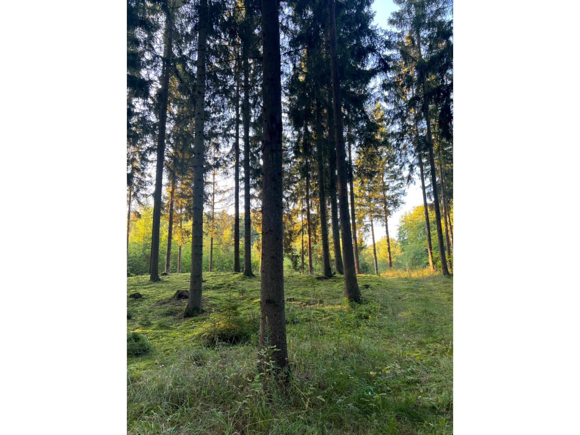 foto28