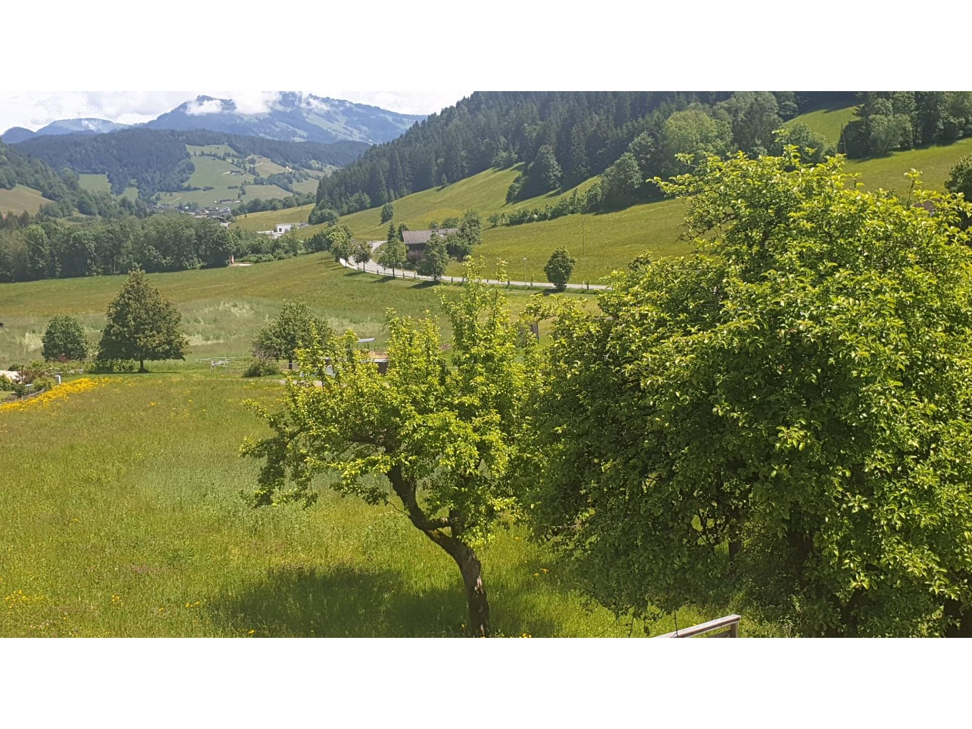 foto4
