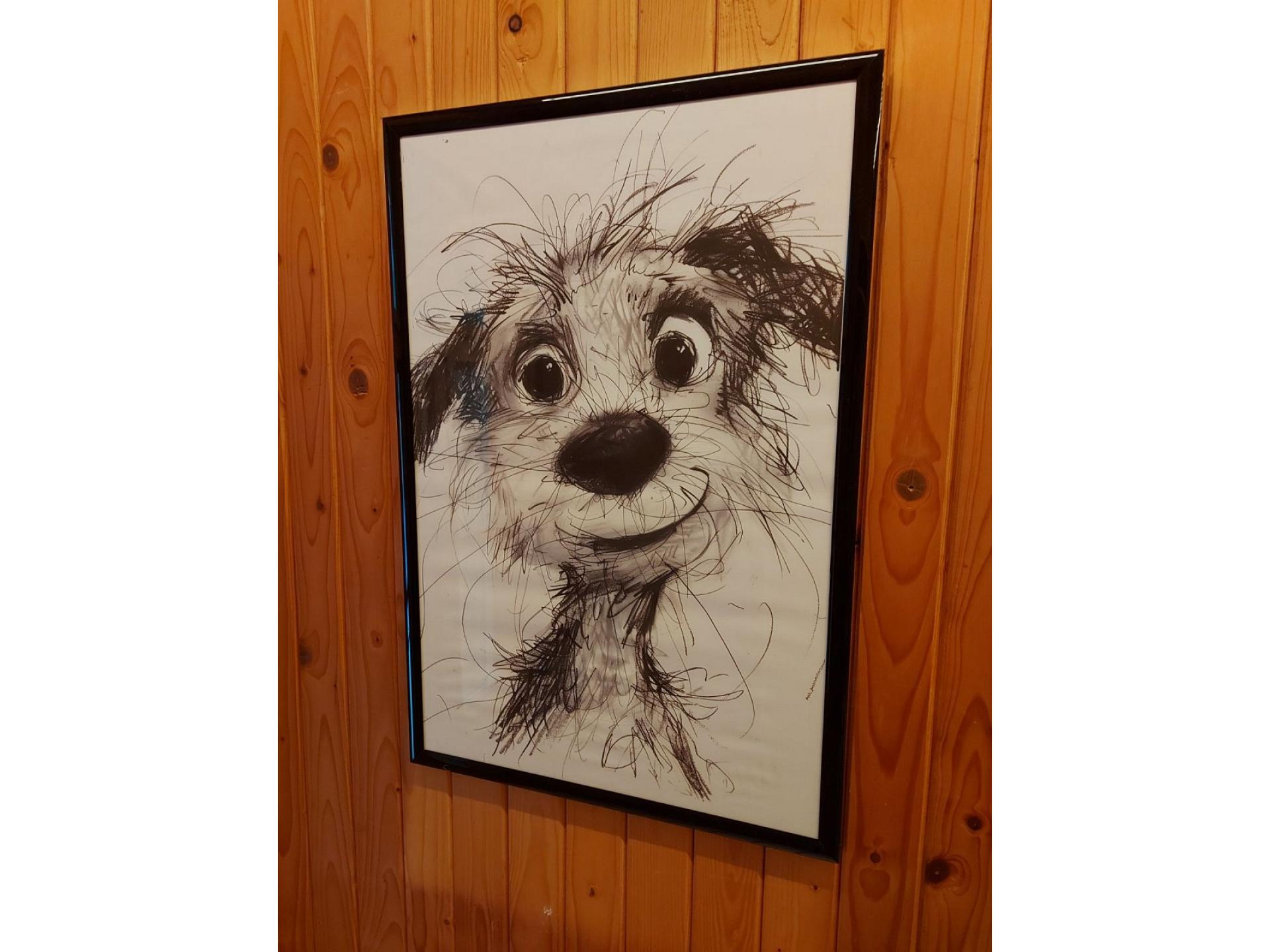 foto15