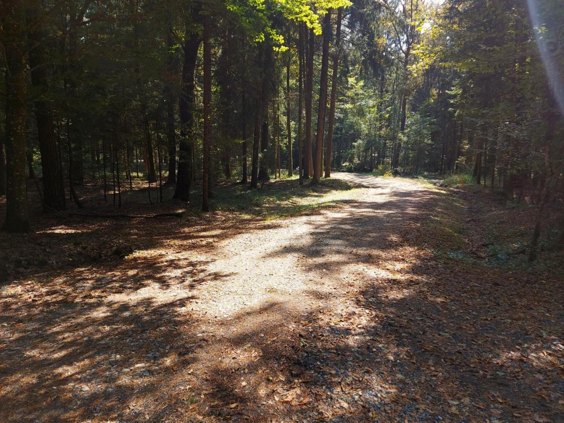 foto22