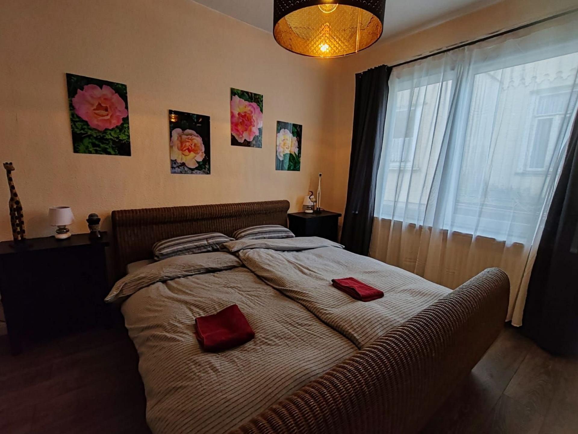foto7