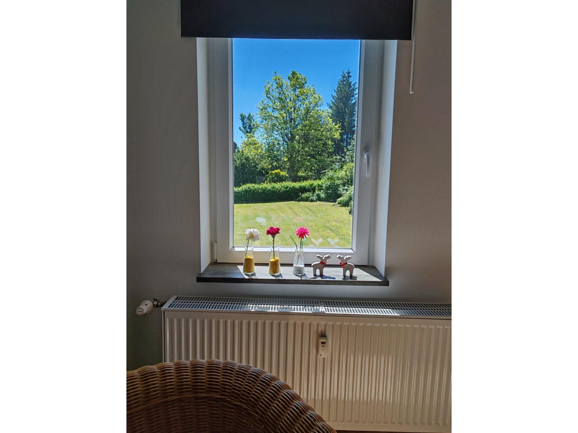 foto20