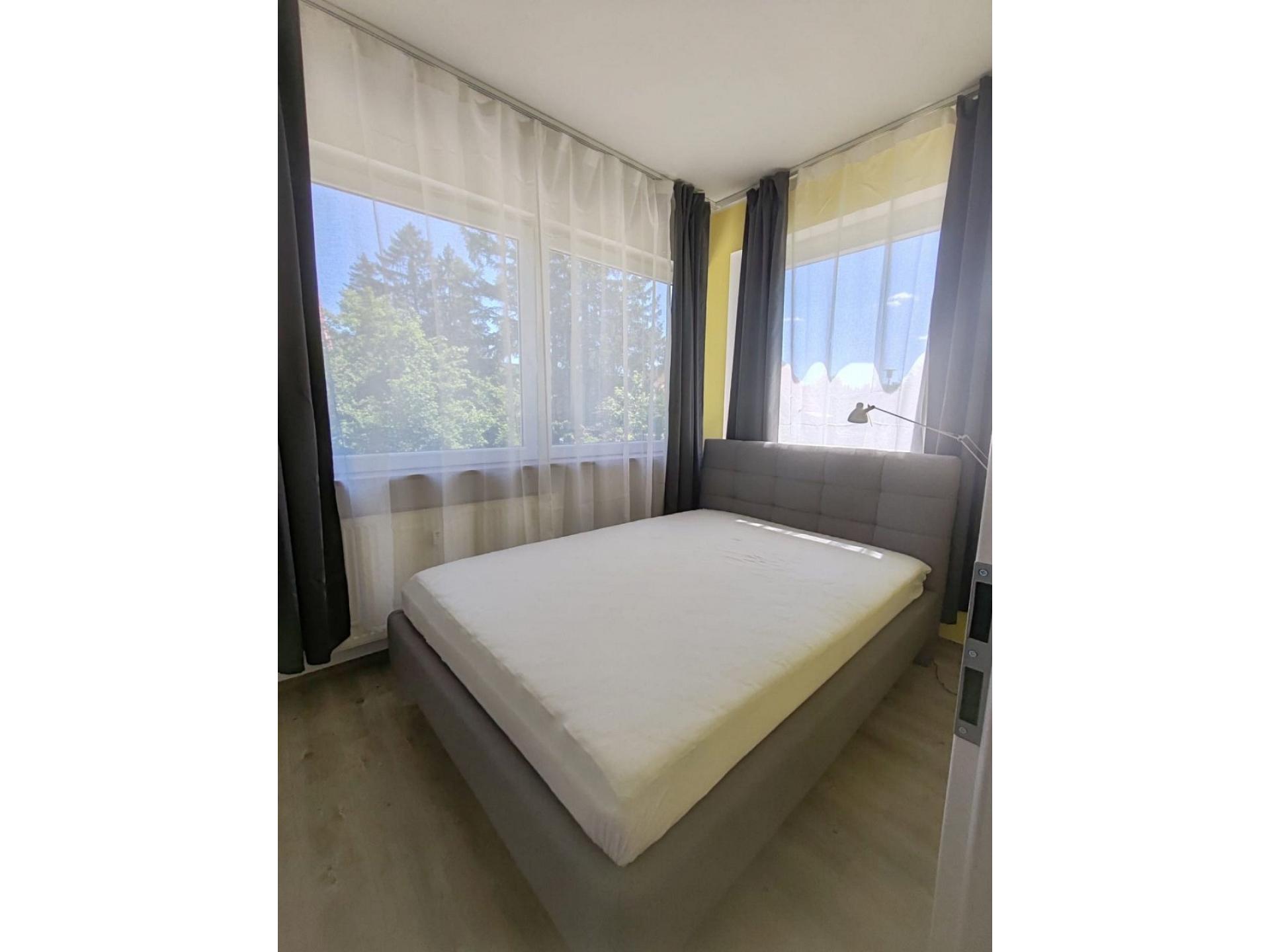 foto11