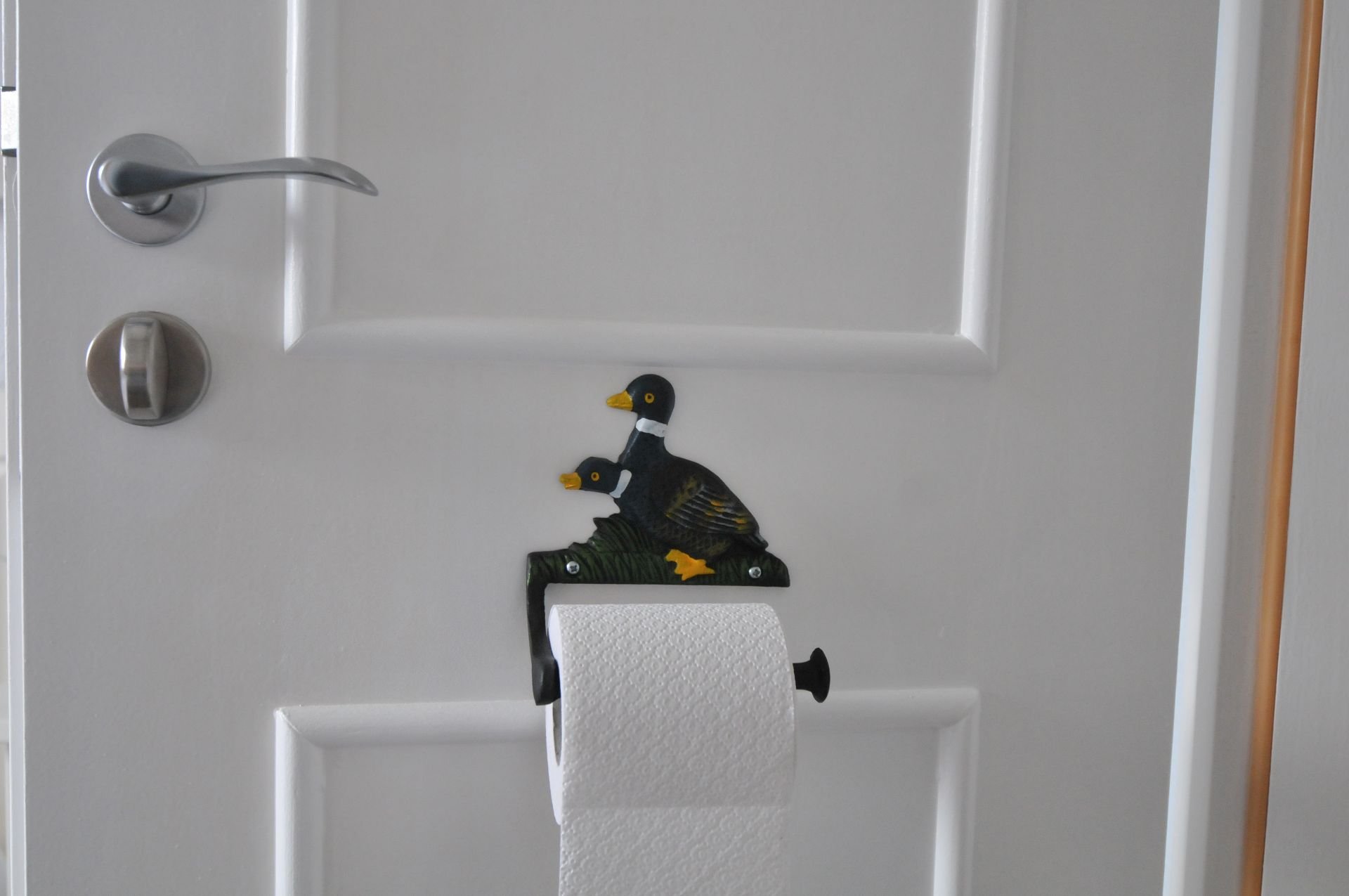 foto10