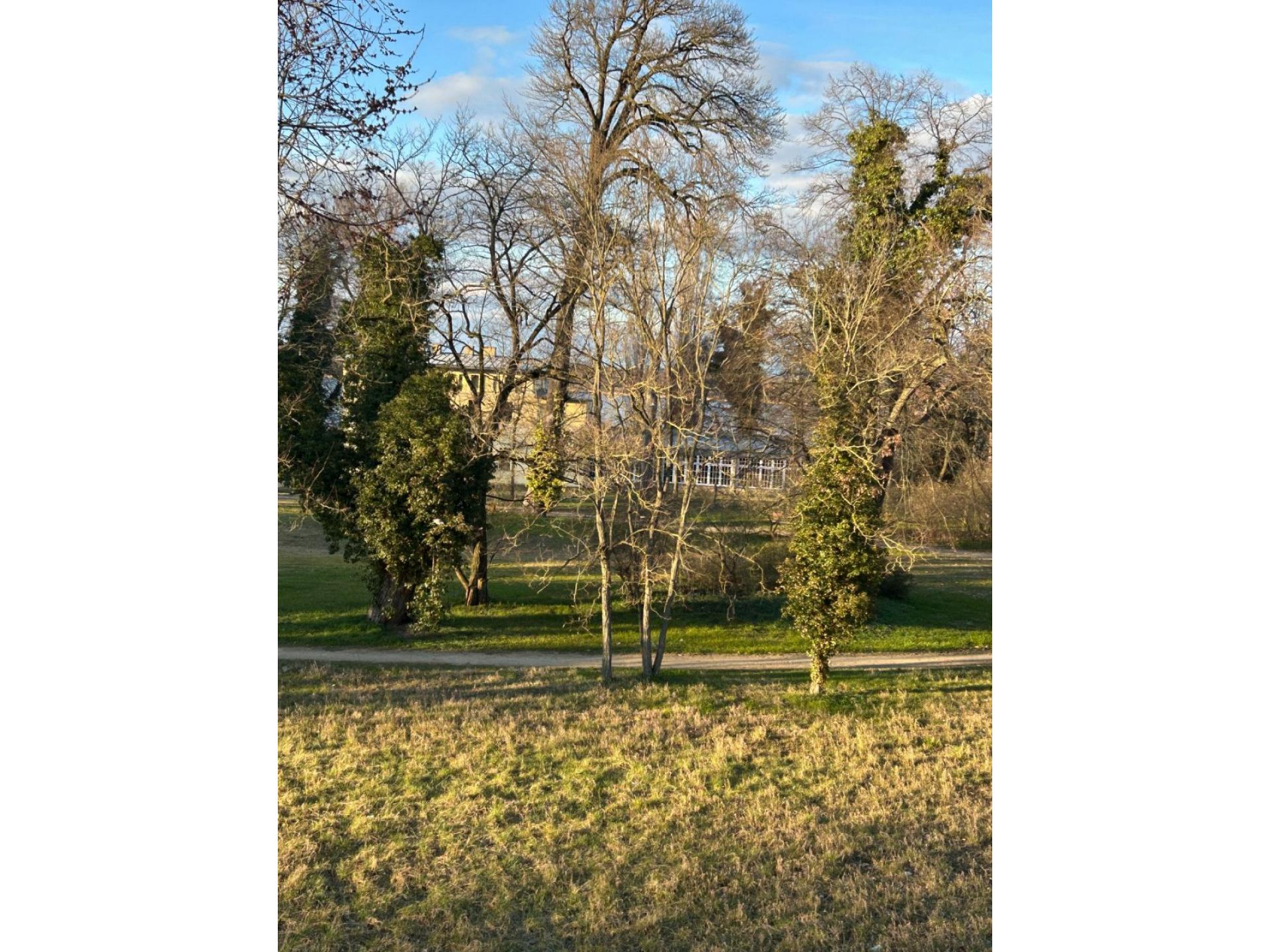 foto6