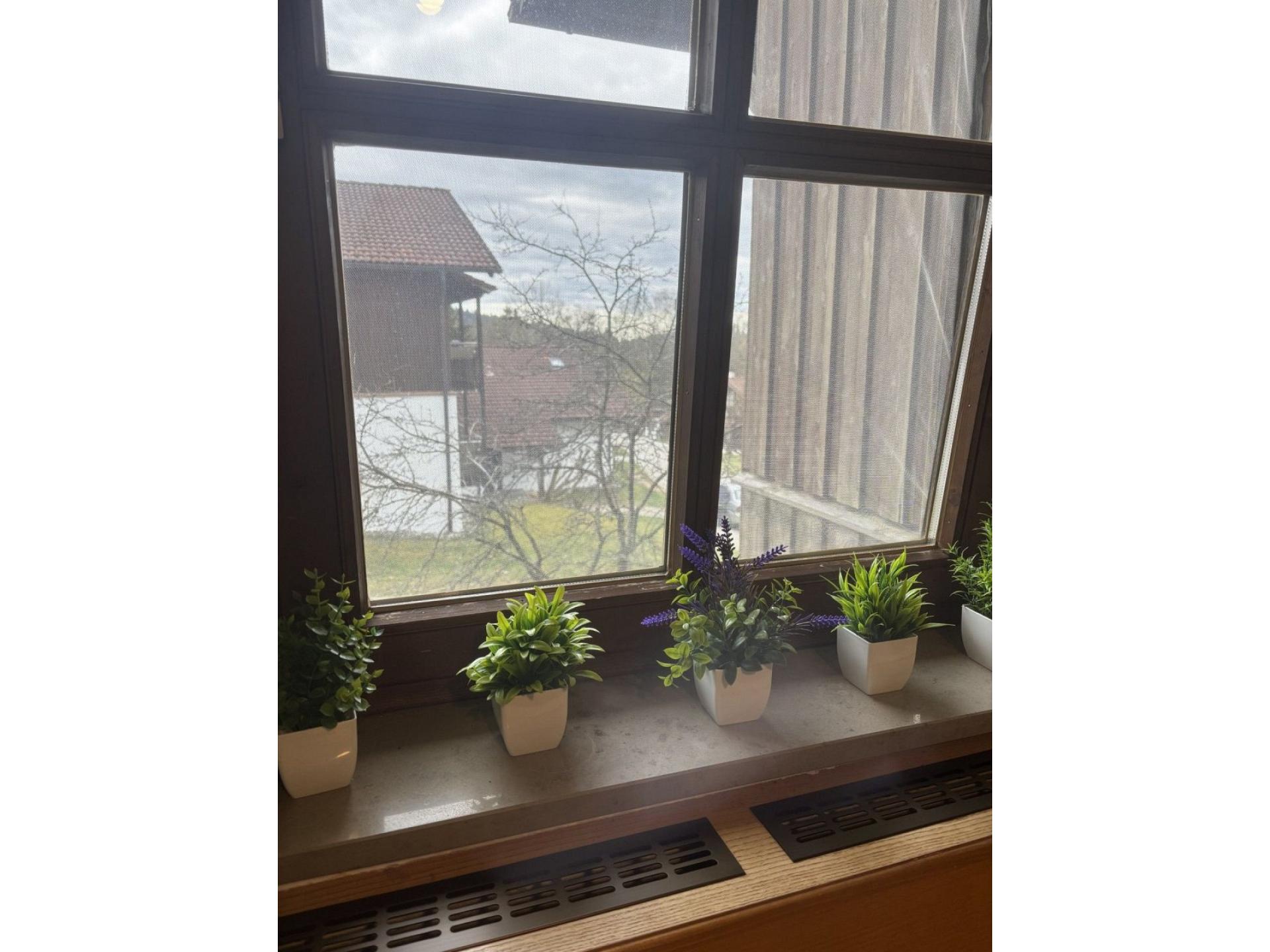 foto10