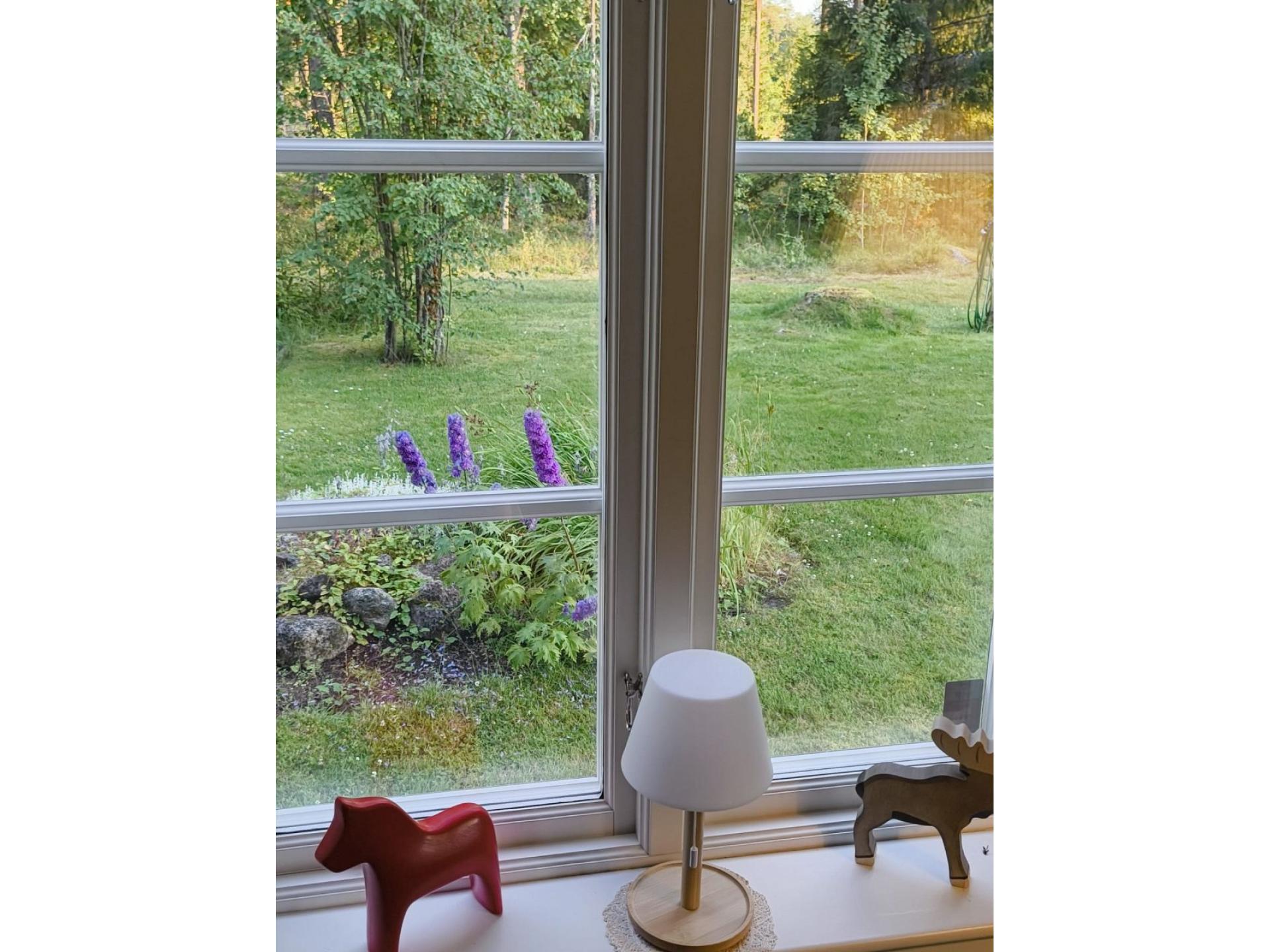foto29