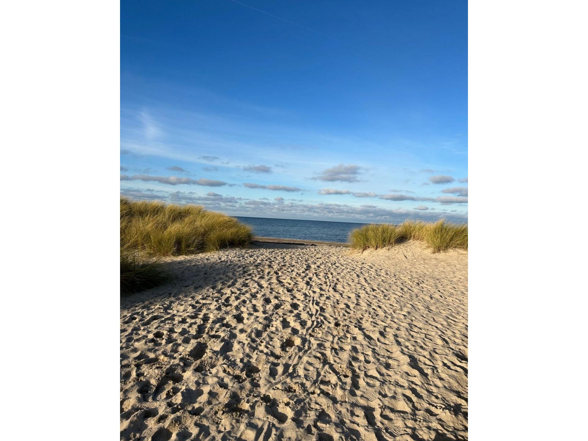 foto23