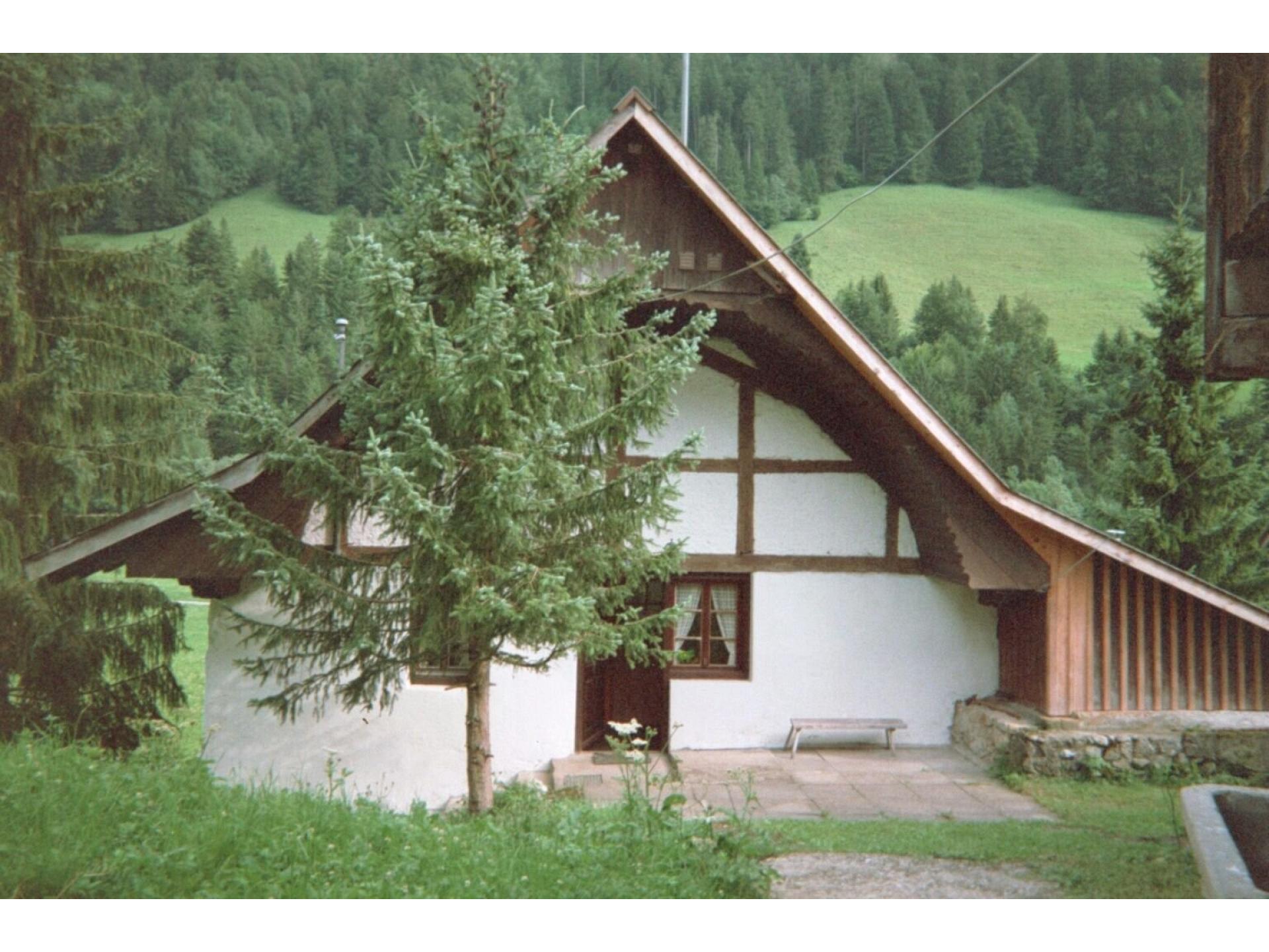 foto1