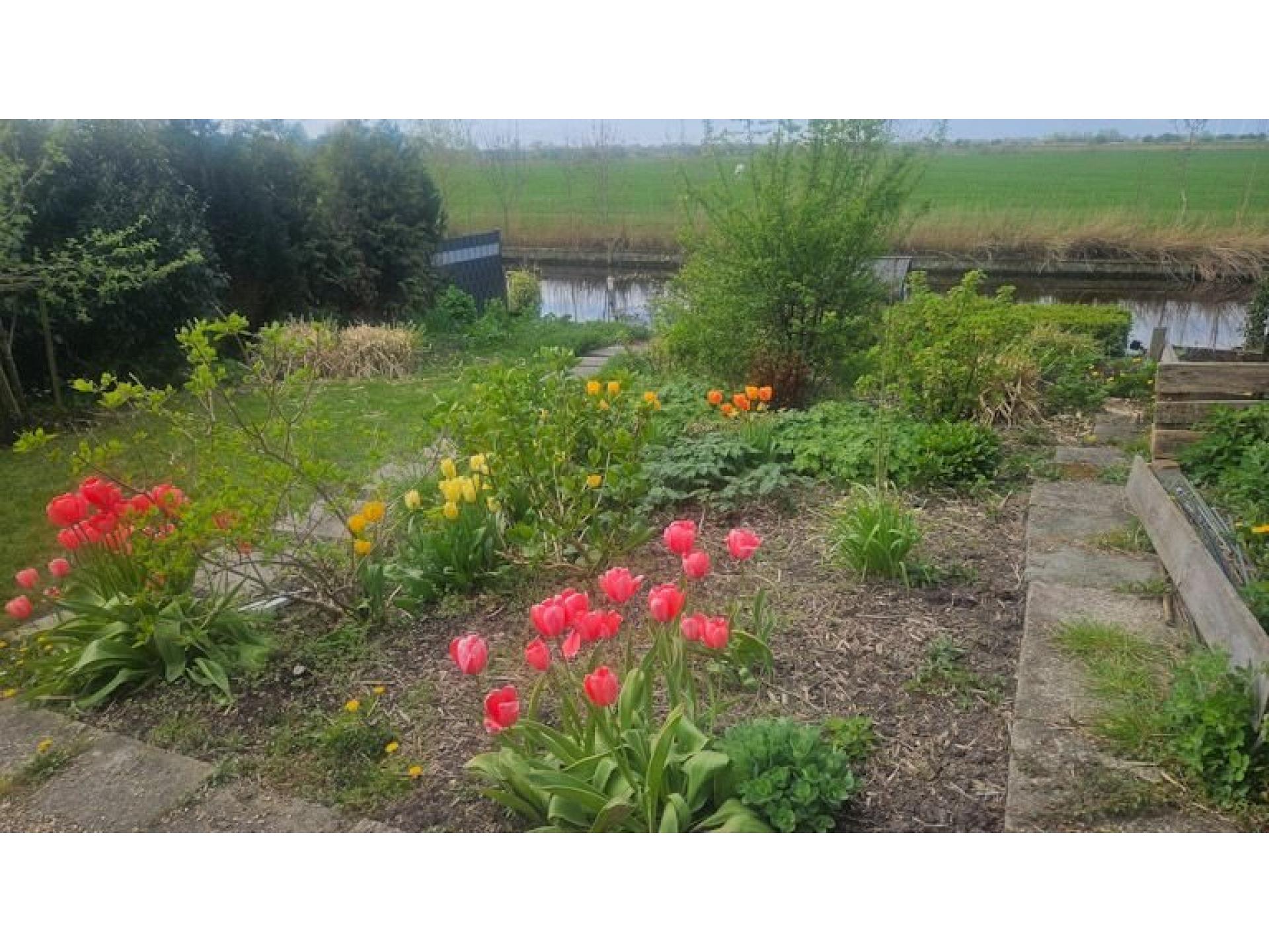 foto17