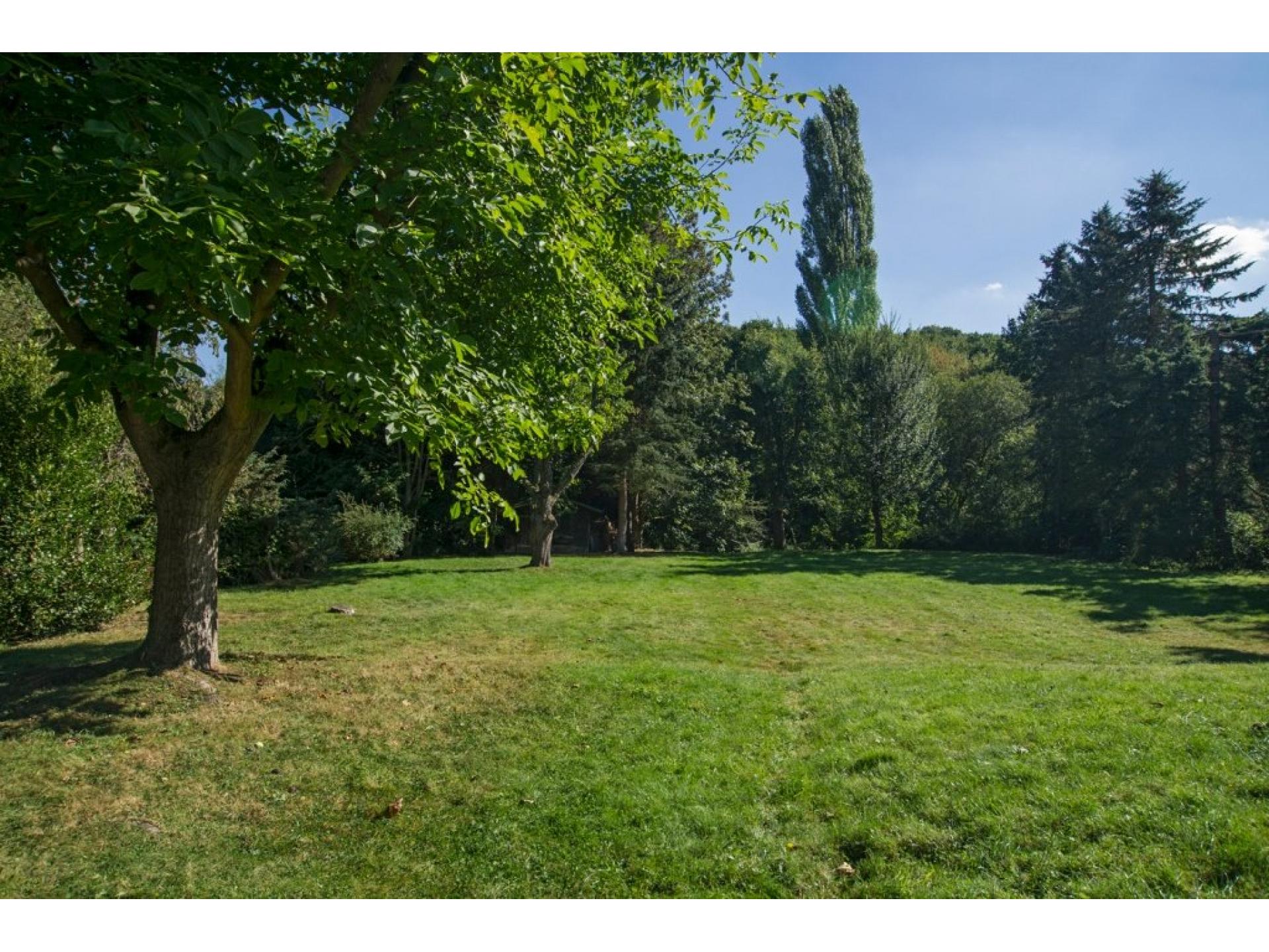 foto16