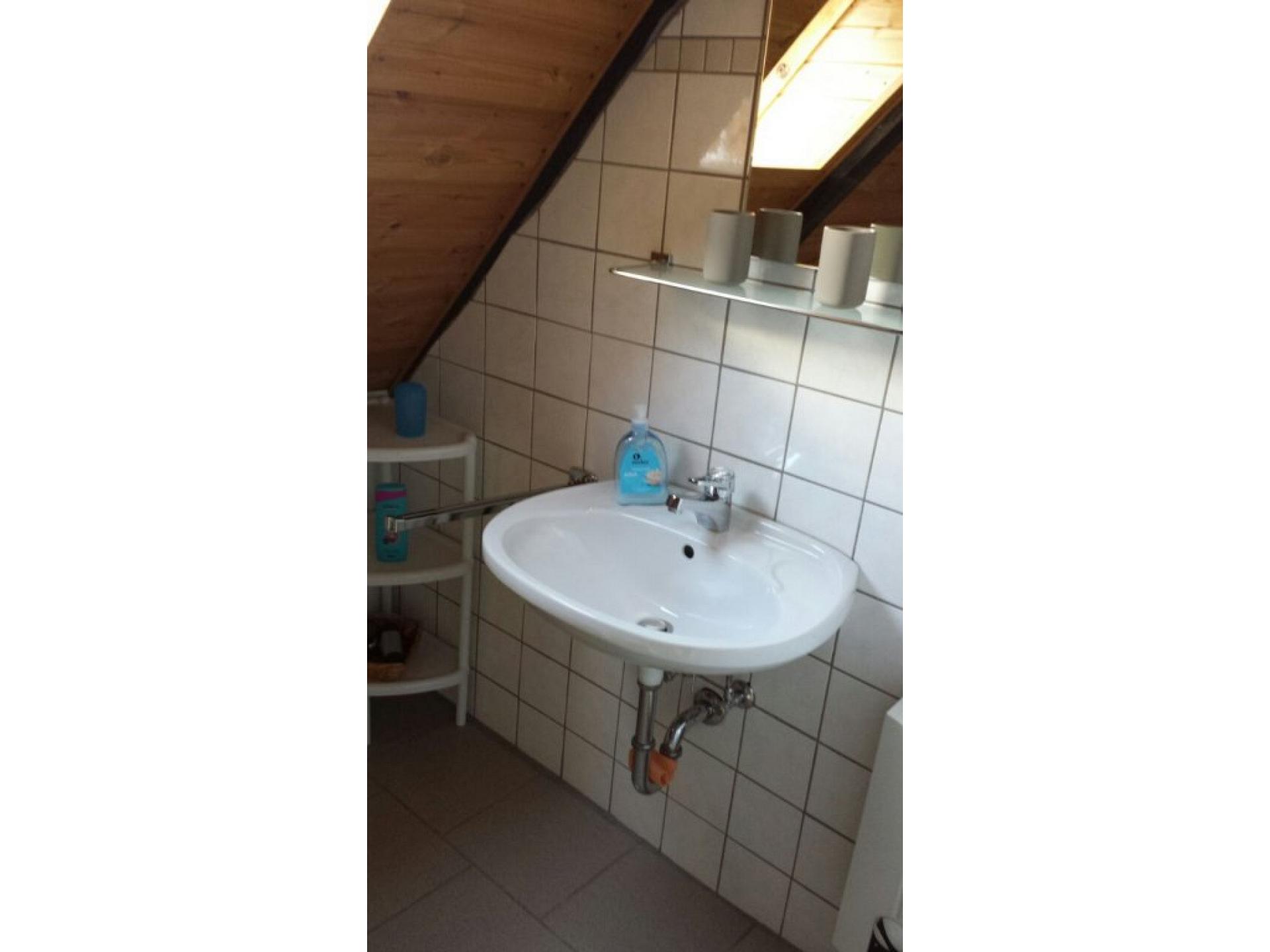 foto2
