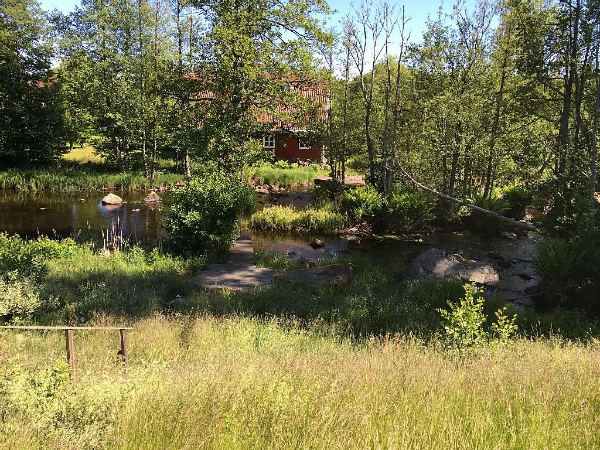 foto11