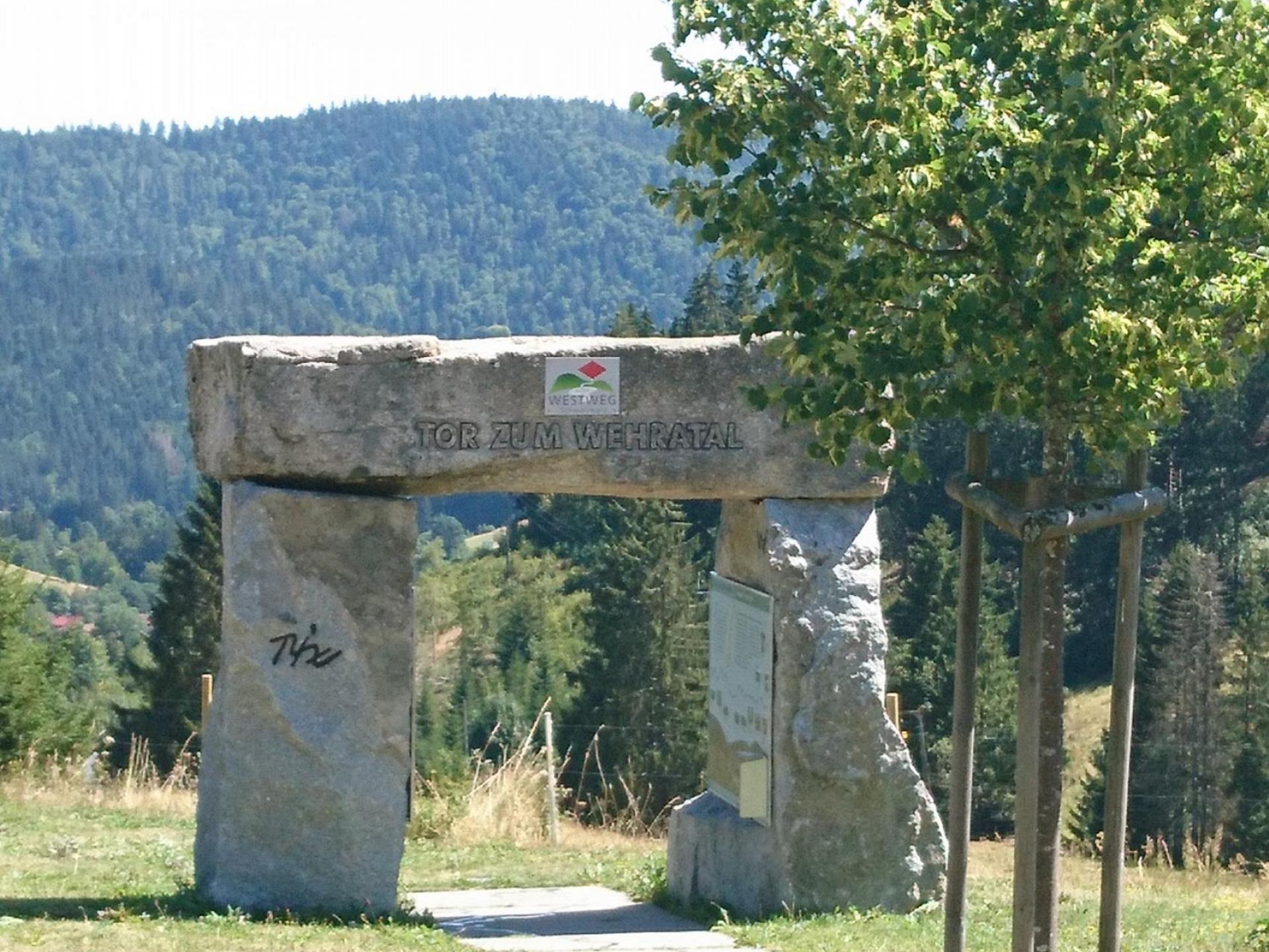 foto6