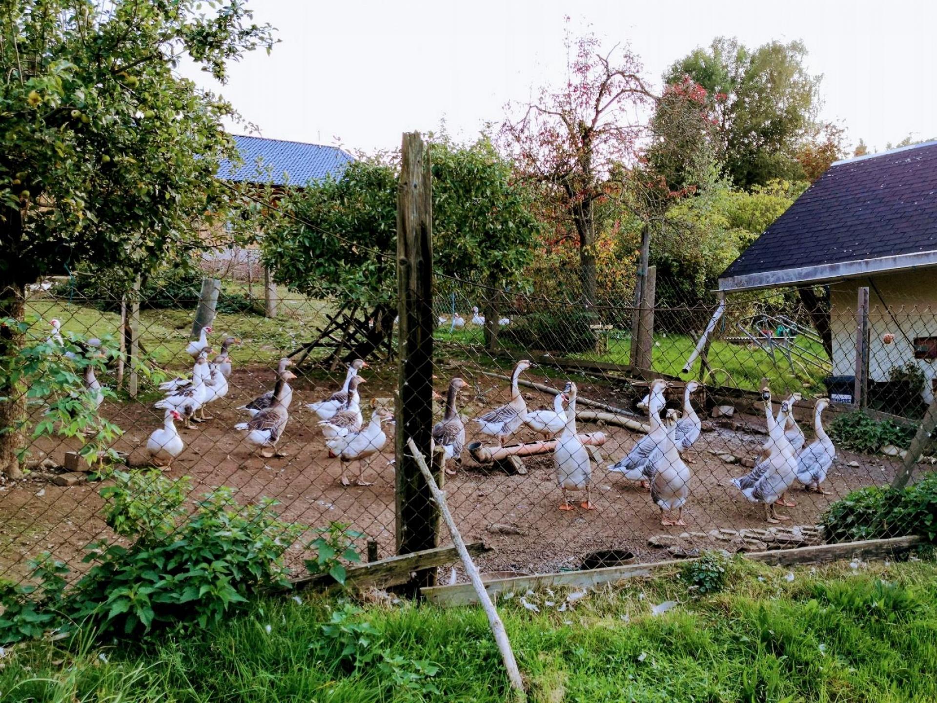 foto20