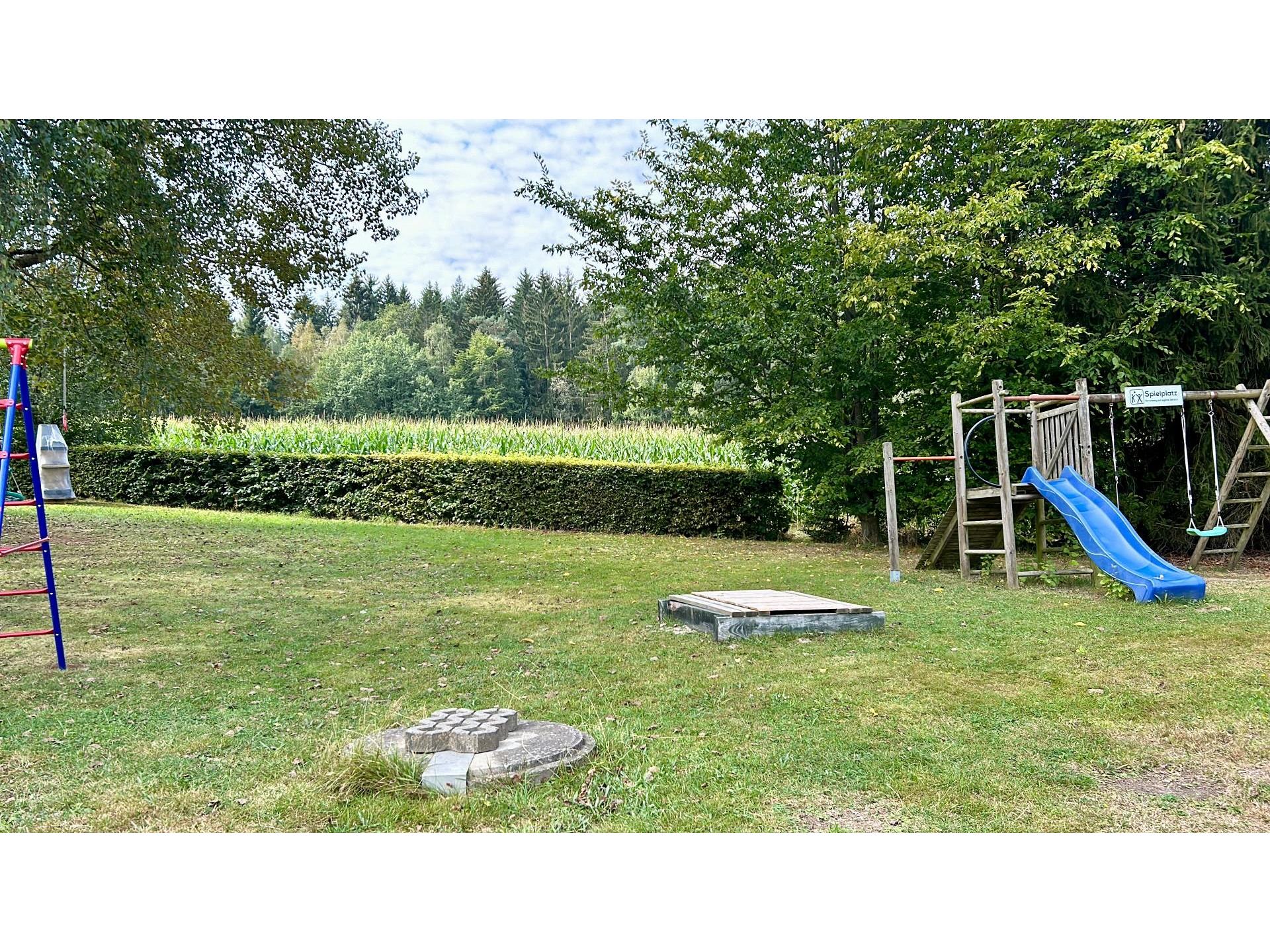 foto12