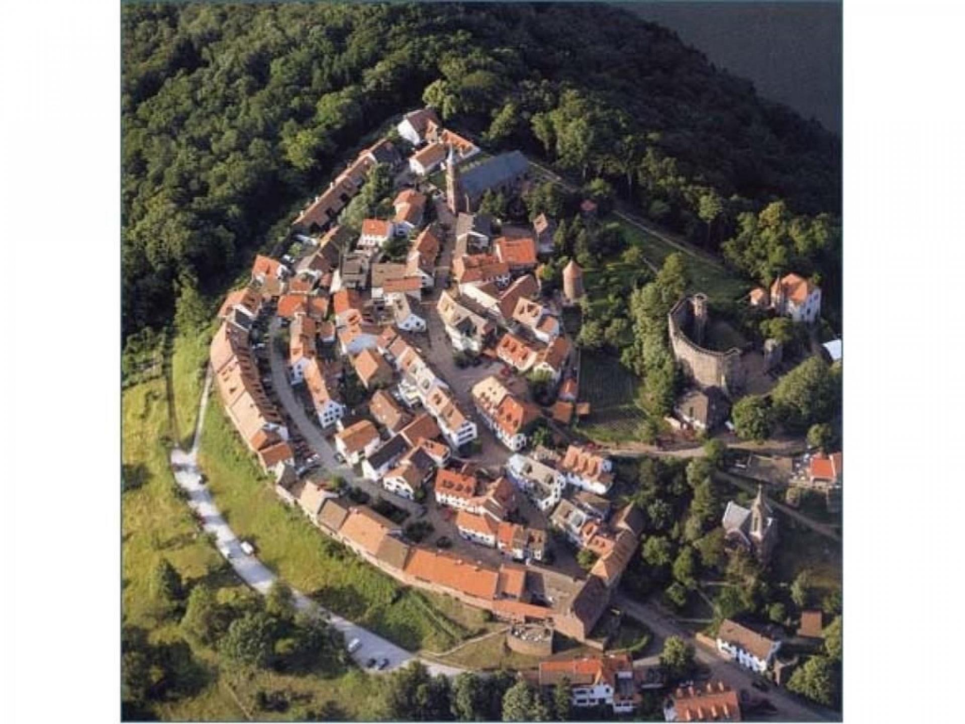 foto15