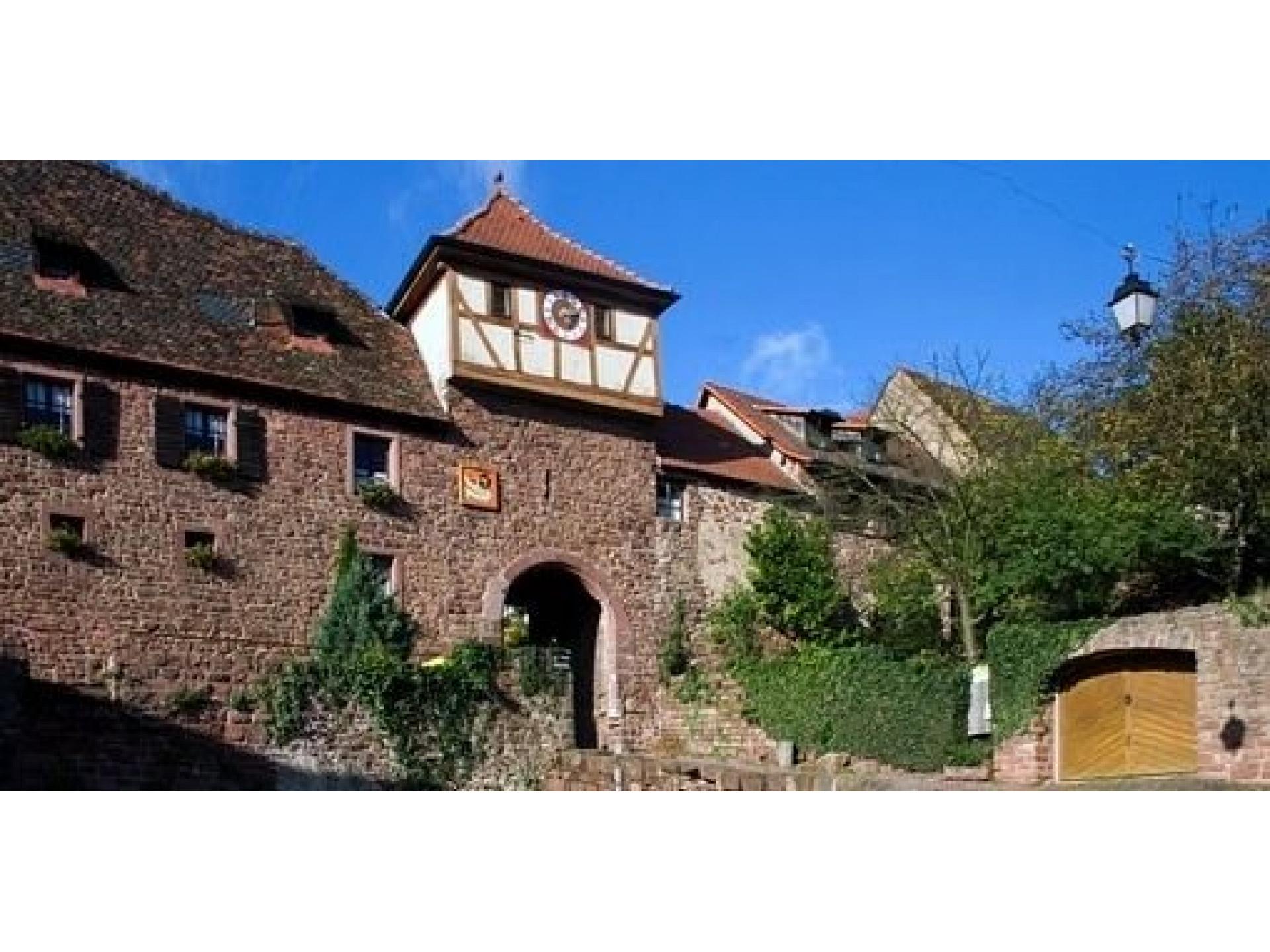foto17