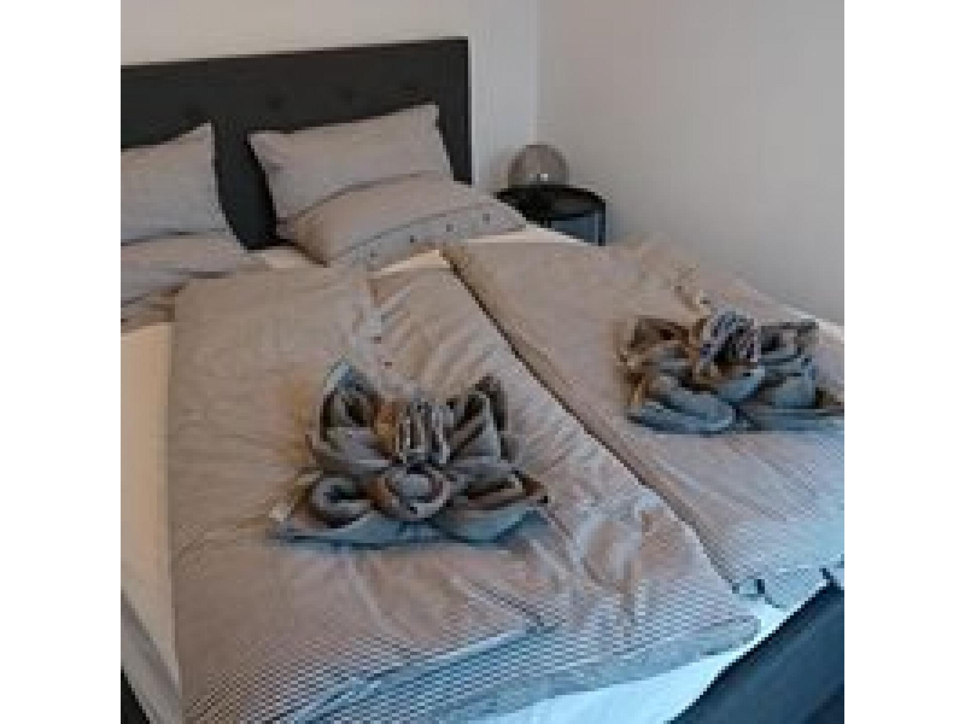 foto0