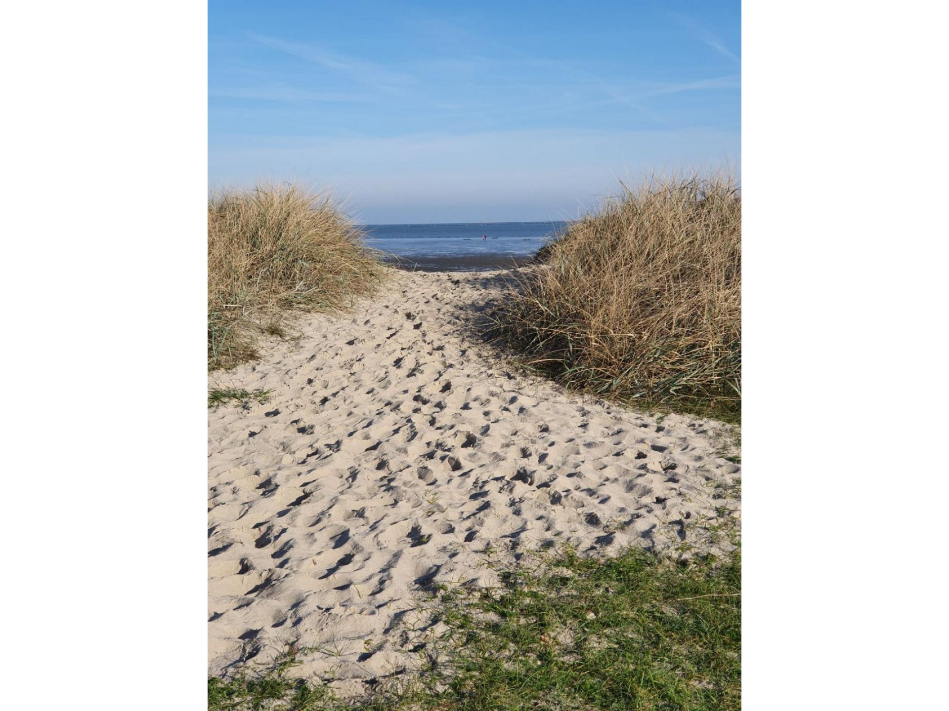 foto17