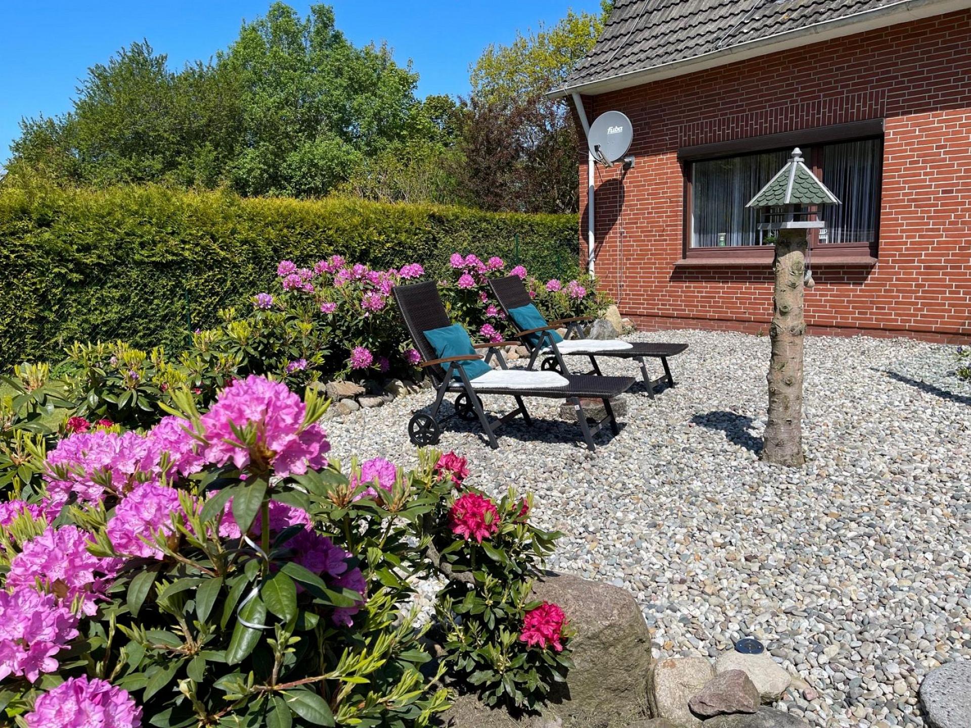 foto22
