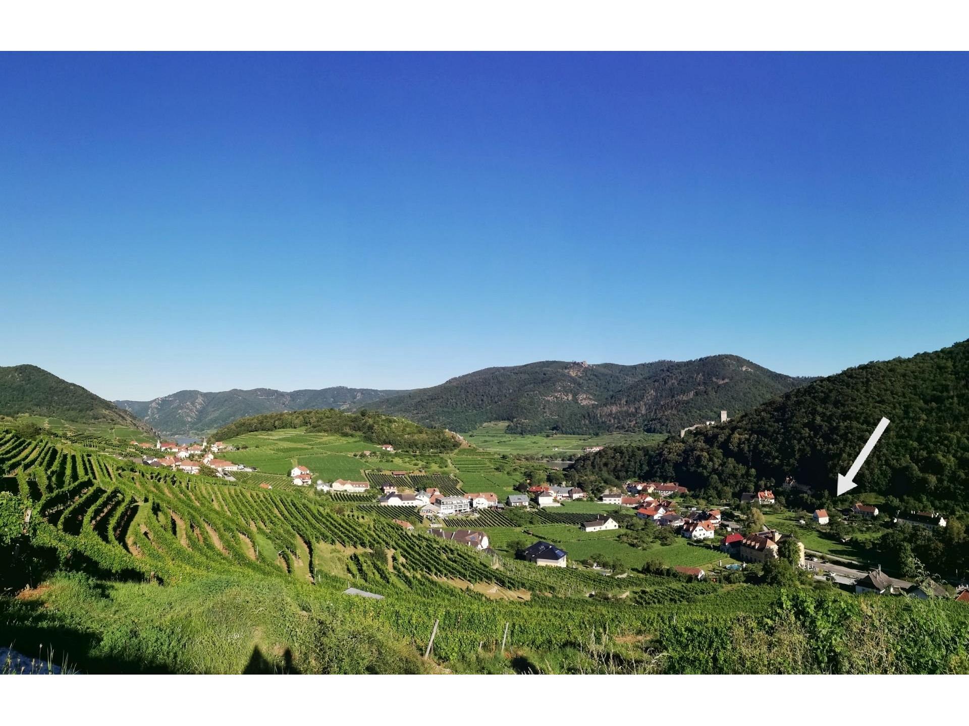 foto4