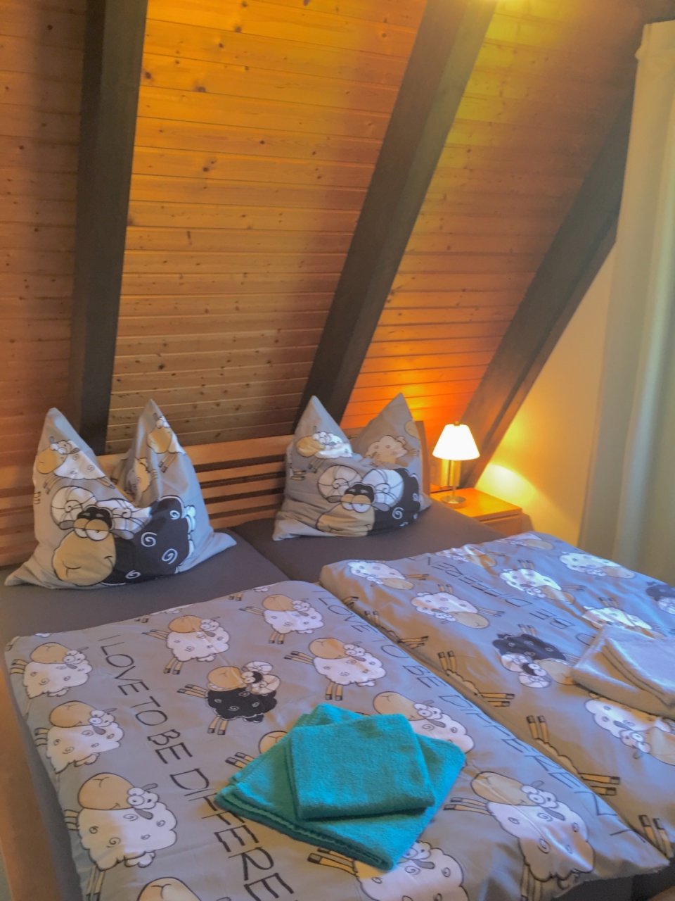 foto10