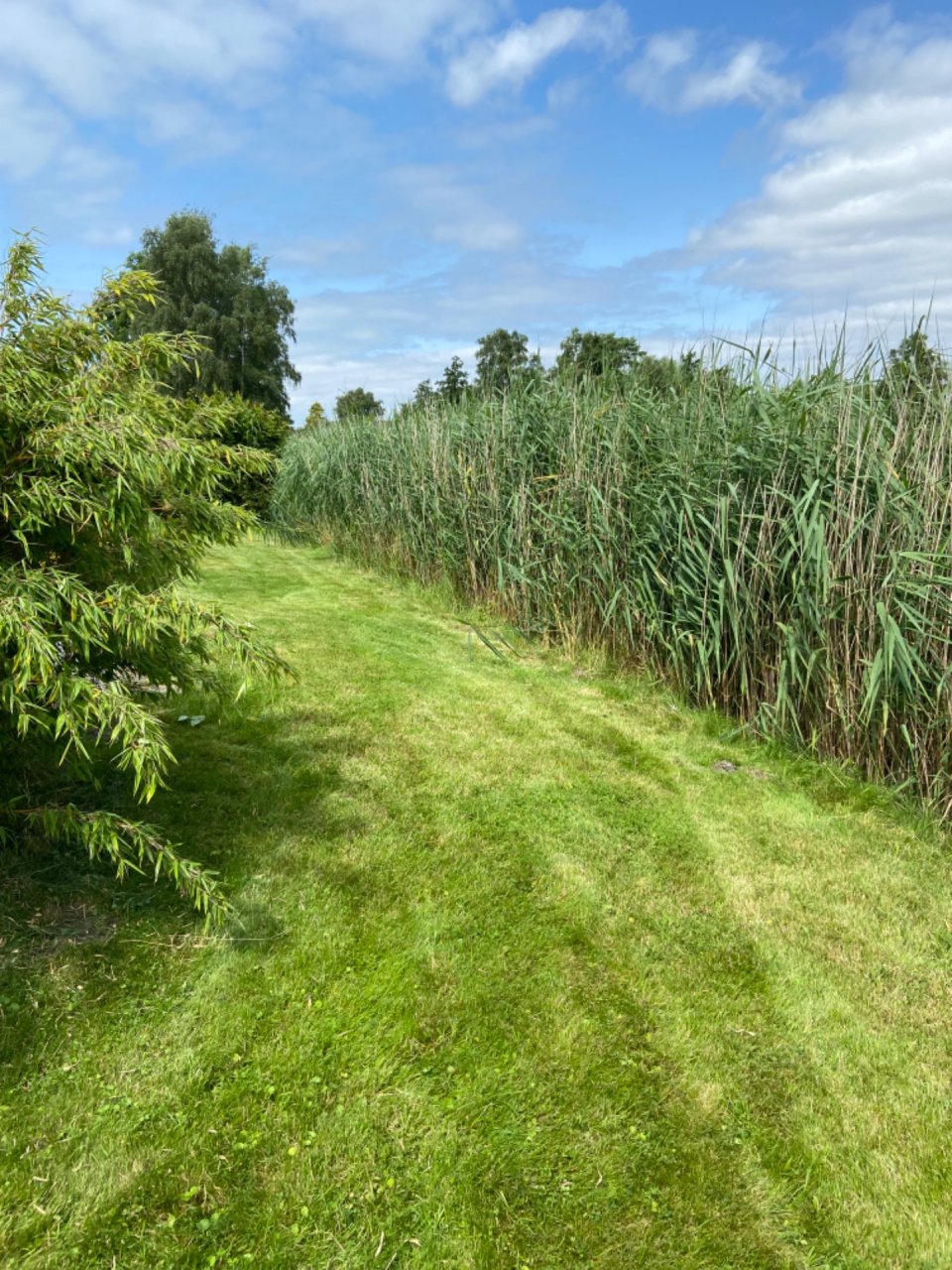 foto15