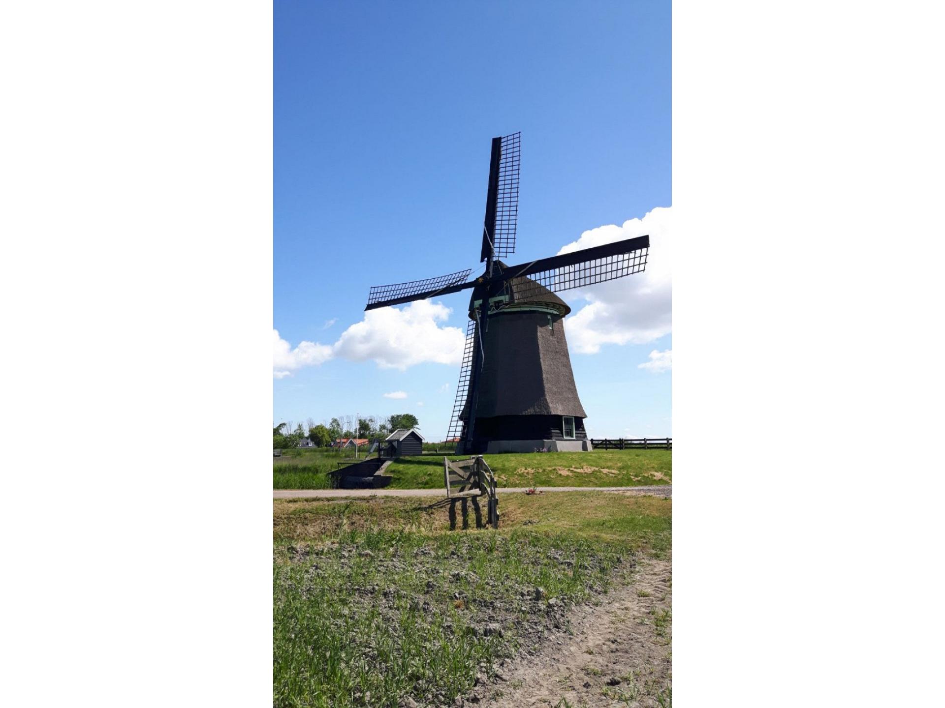 foto12