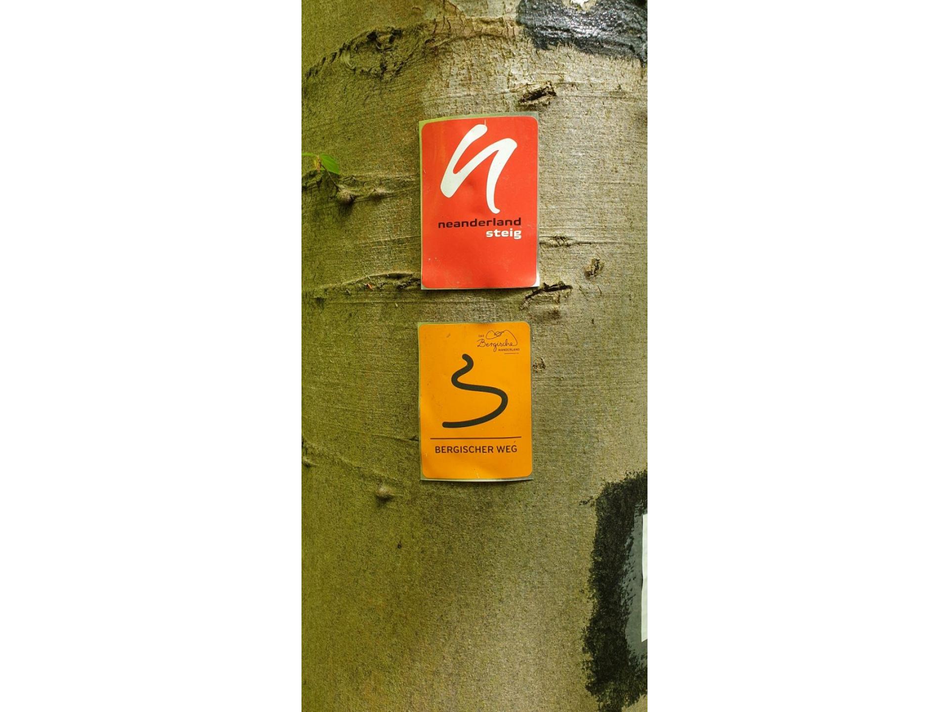 foto17