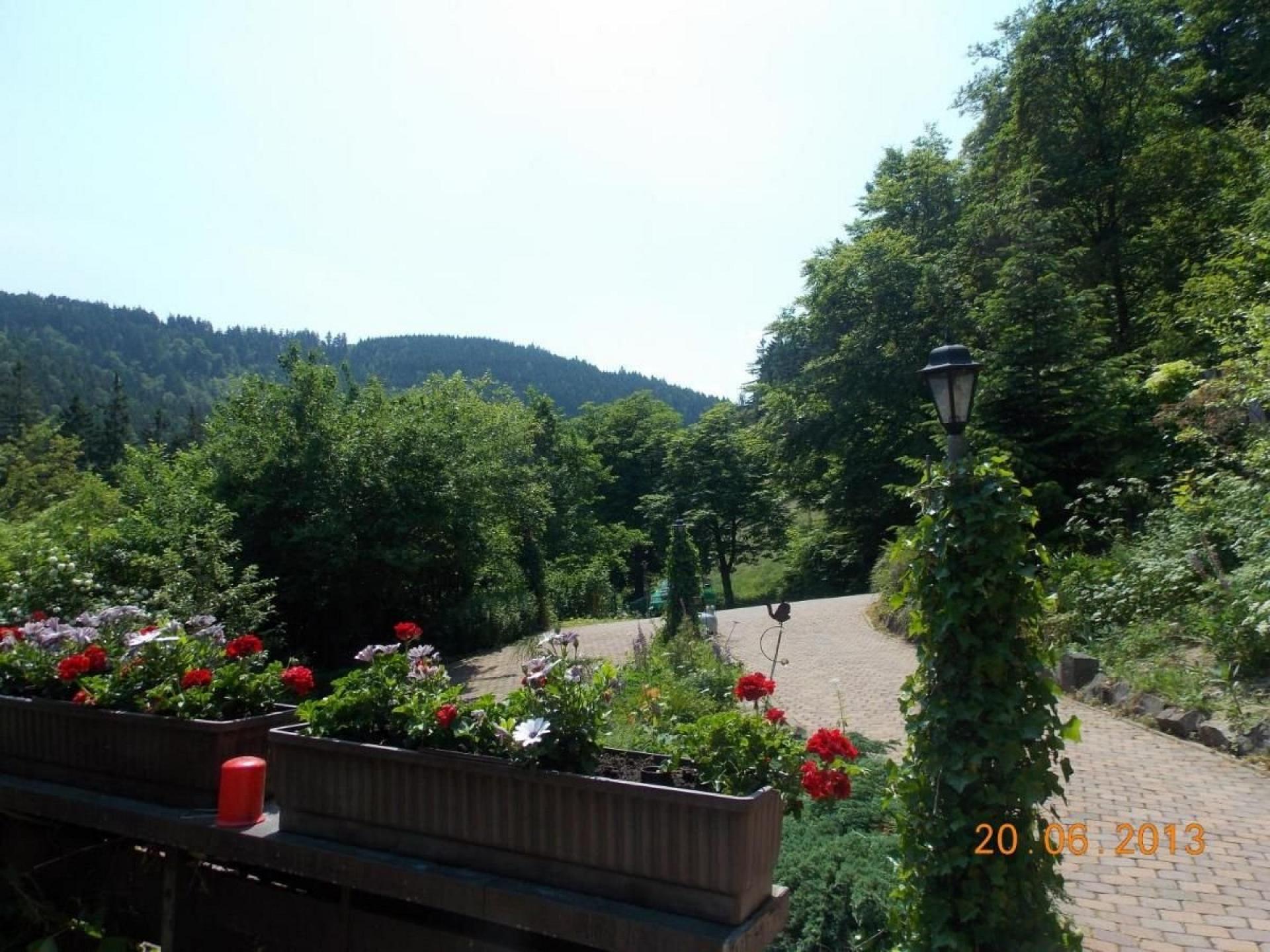 foto15
