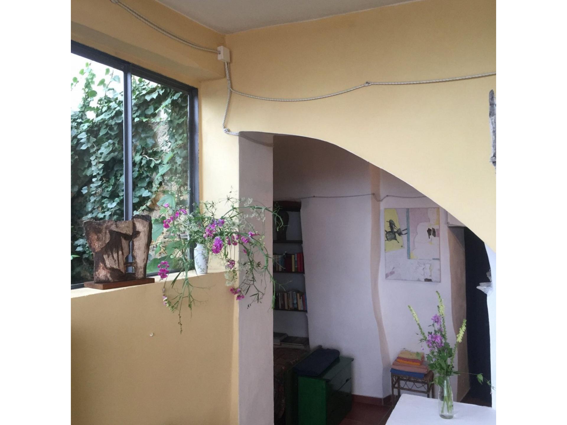 foto19