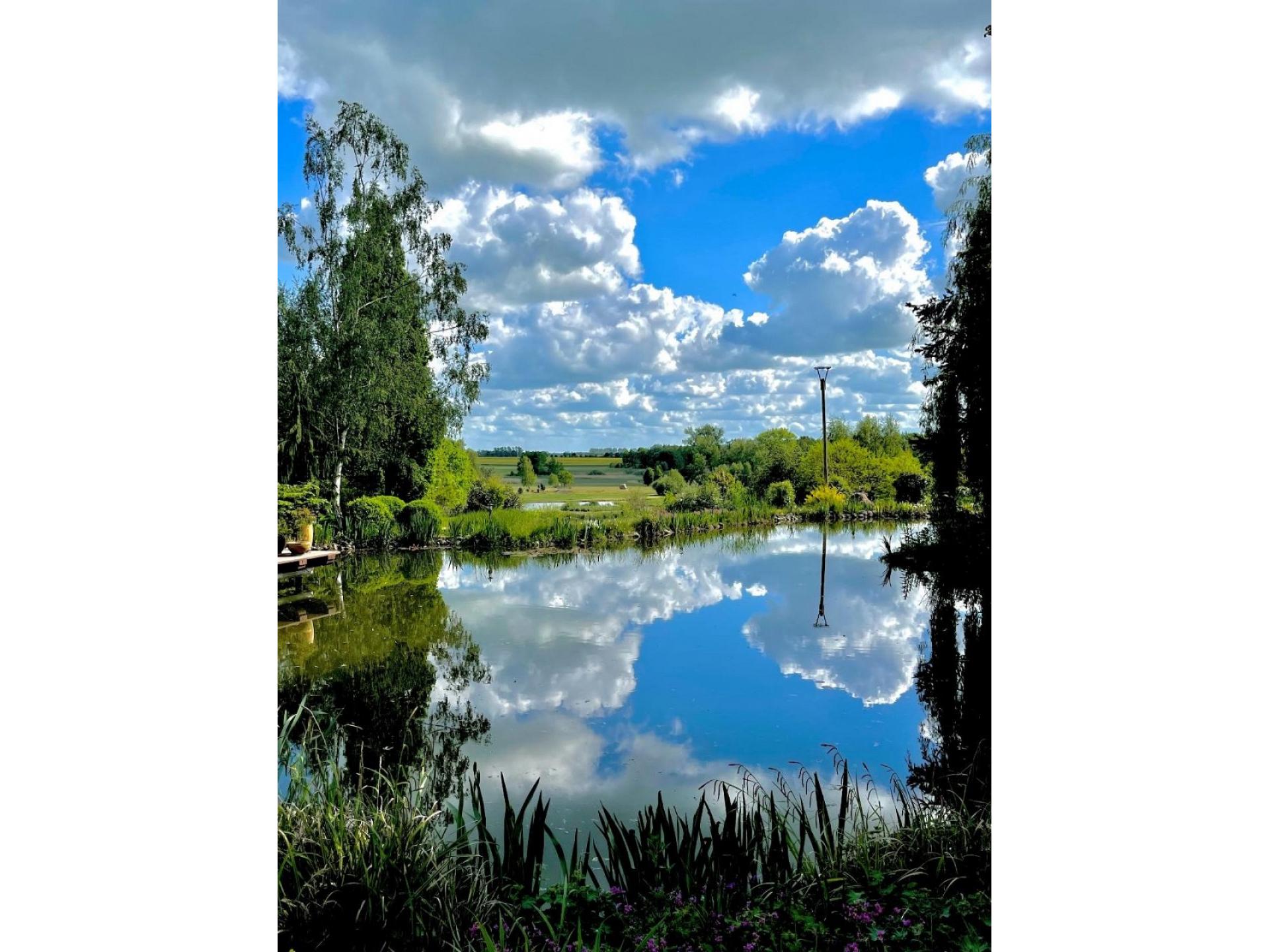 foto21