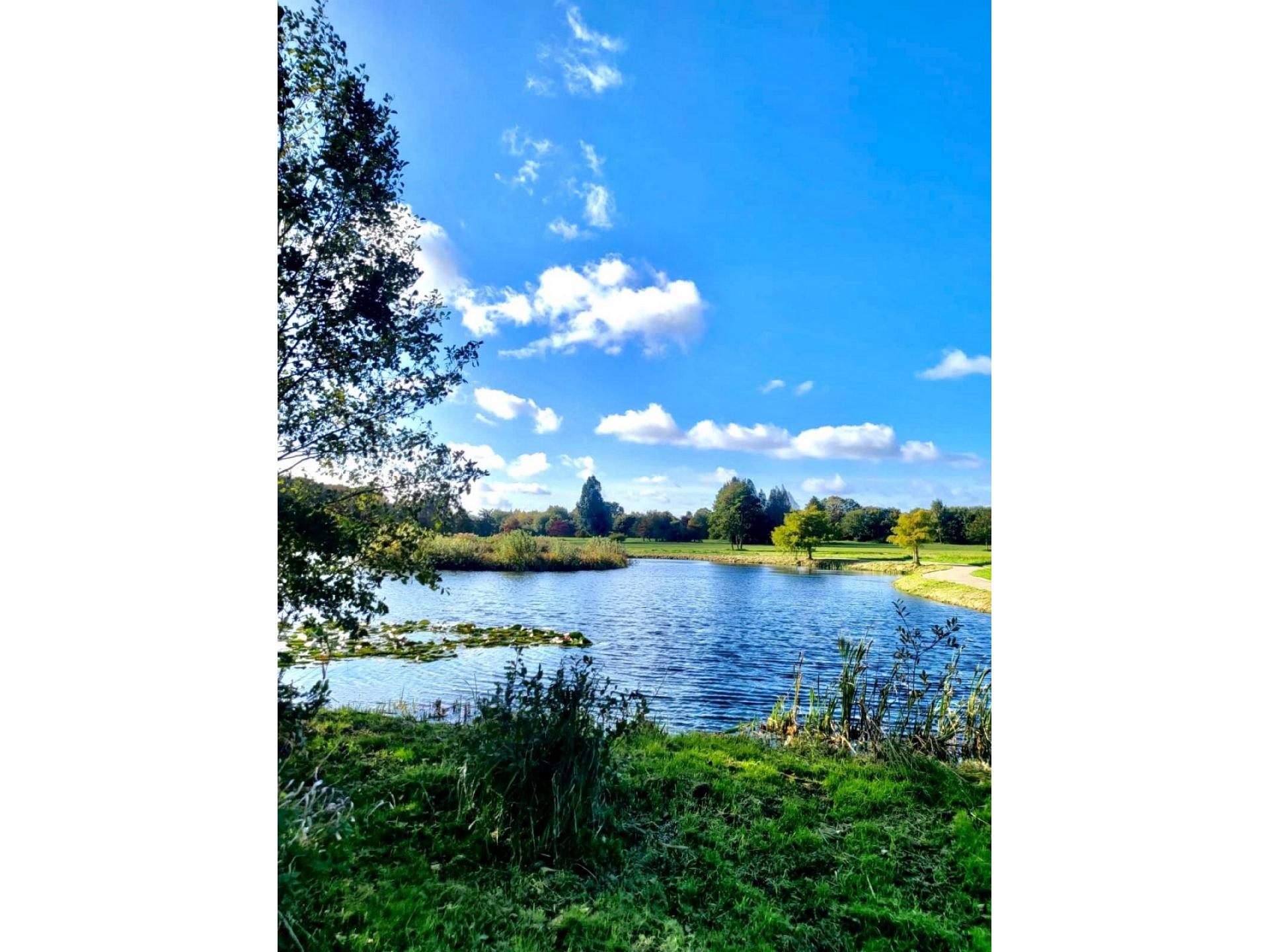 foto21