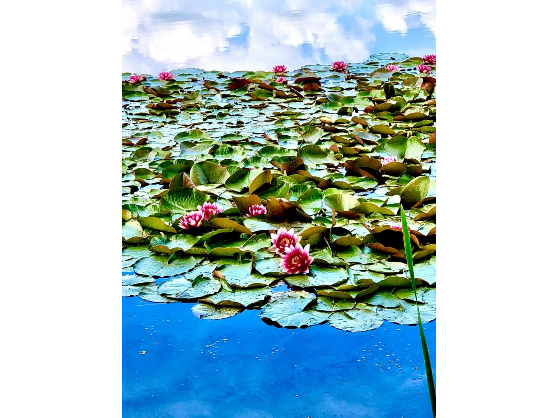 foto17