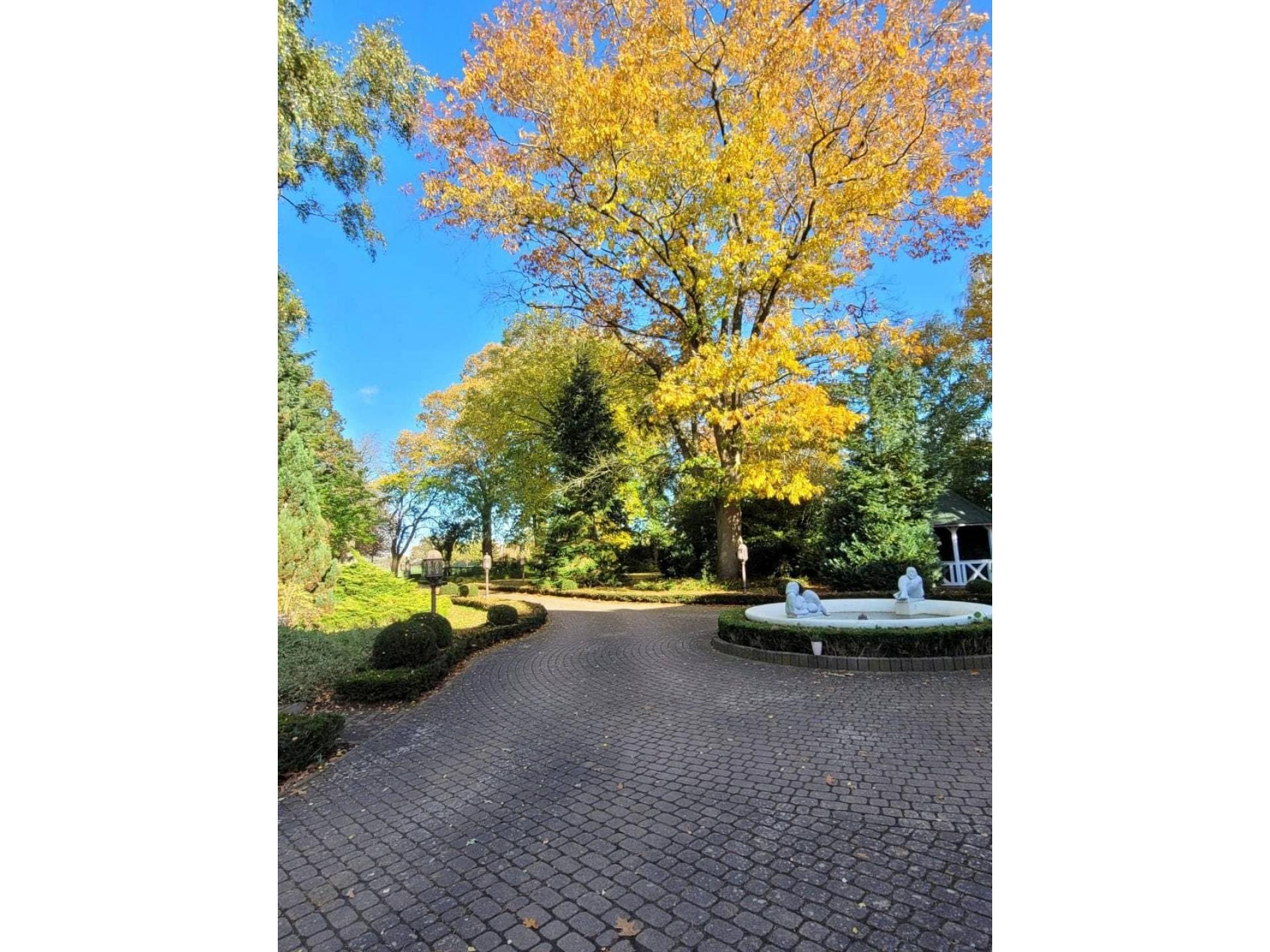 foto16