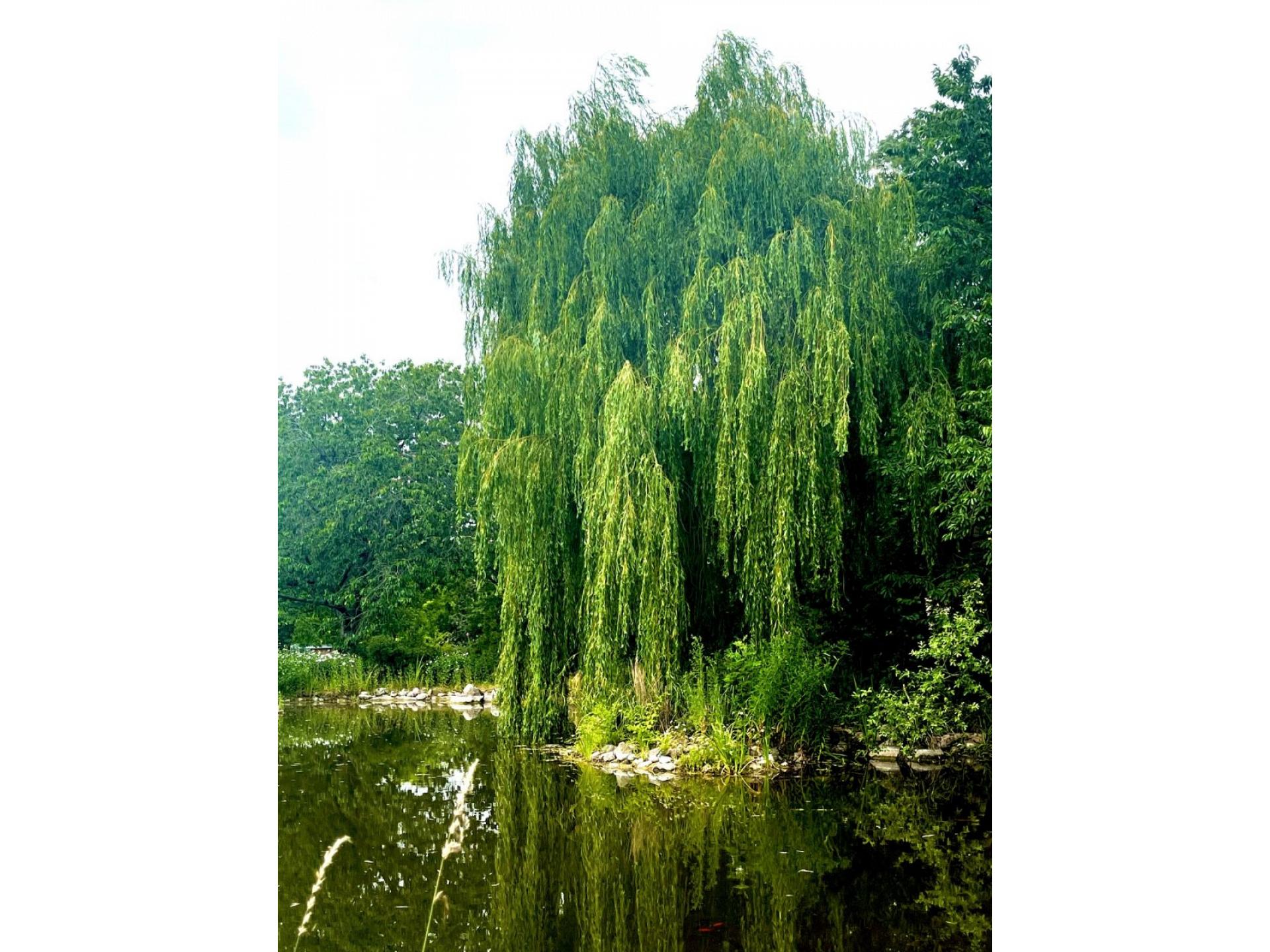 foto20