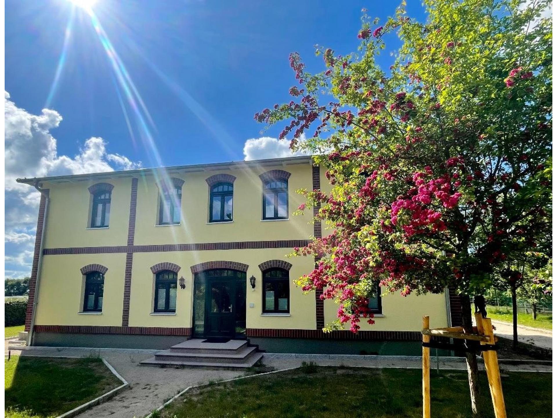 foto1