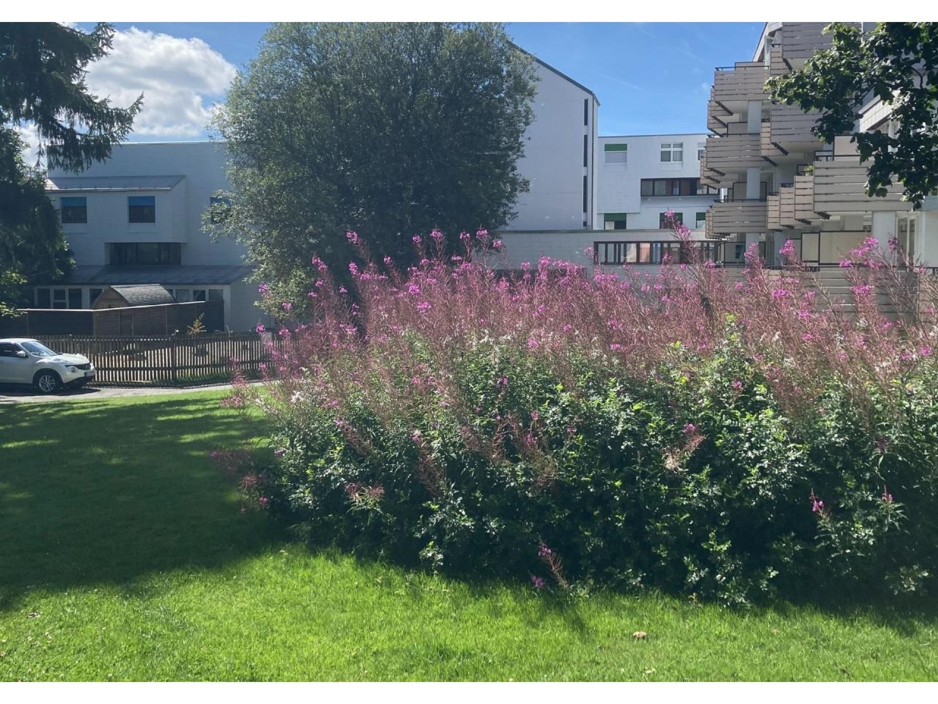 foto20