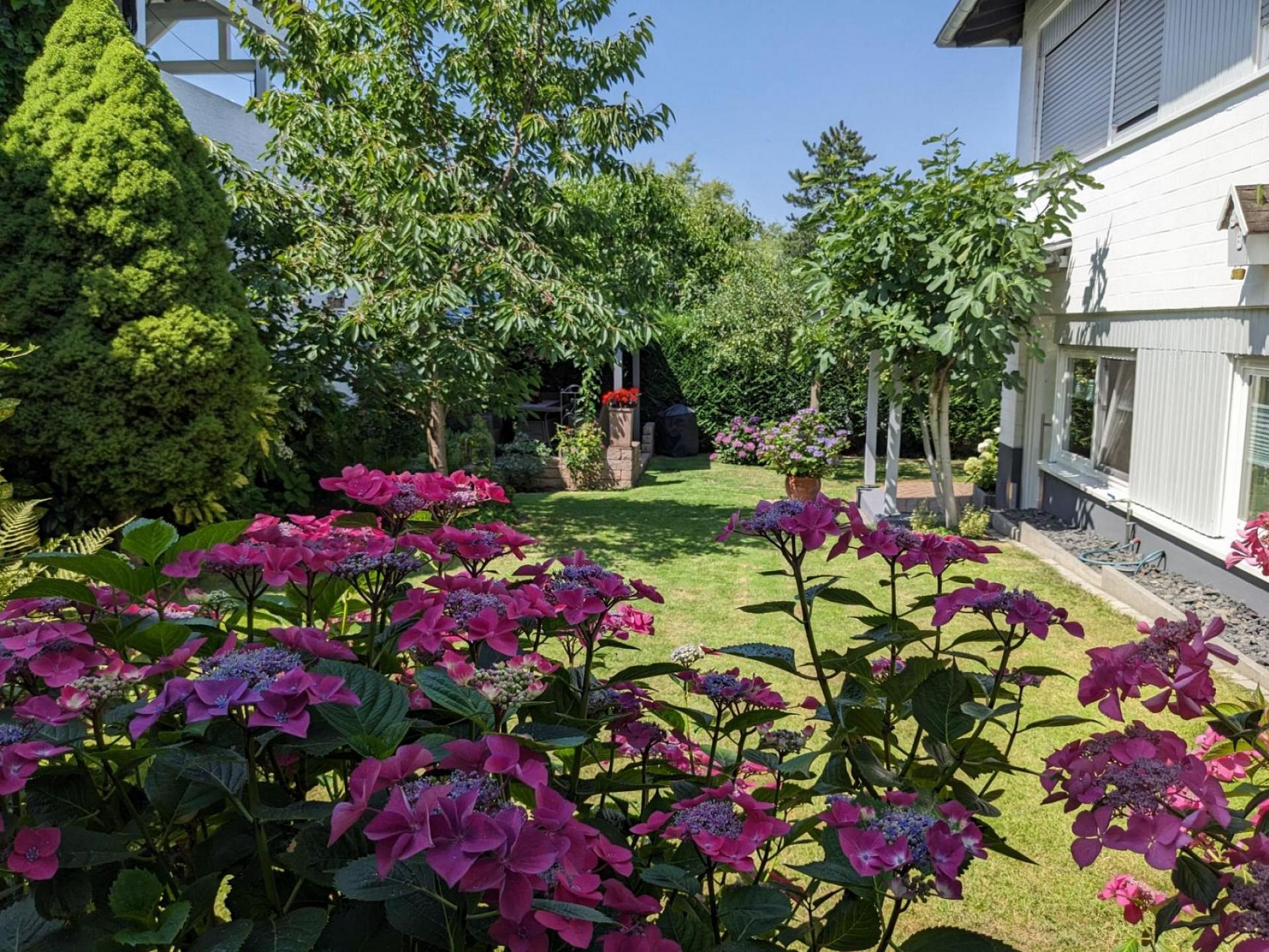 foto21