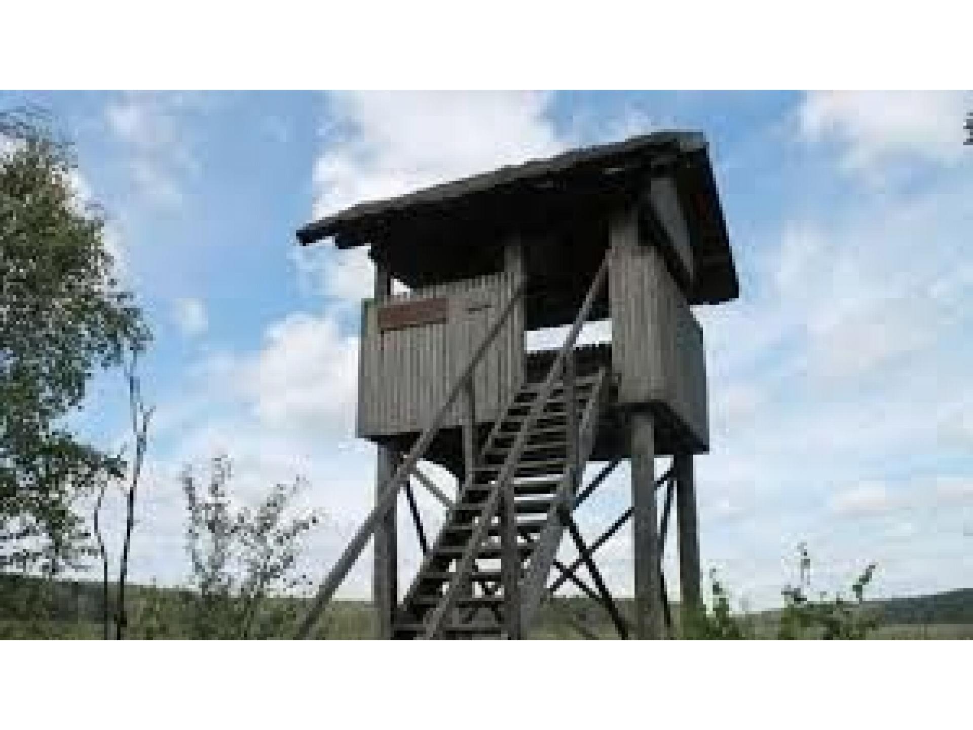 foto16
